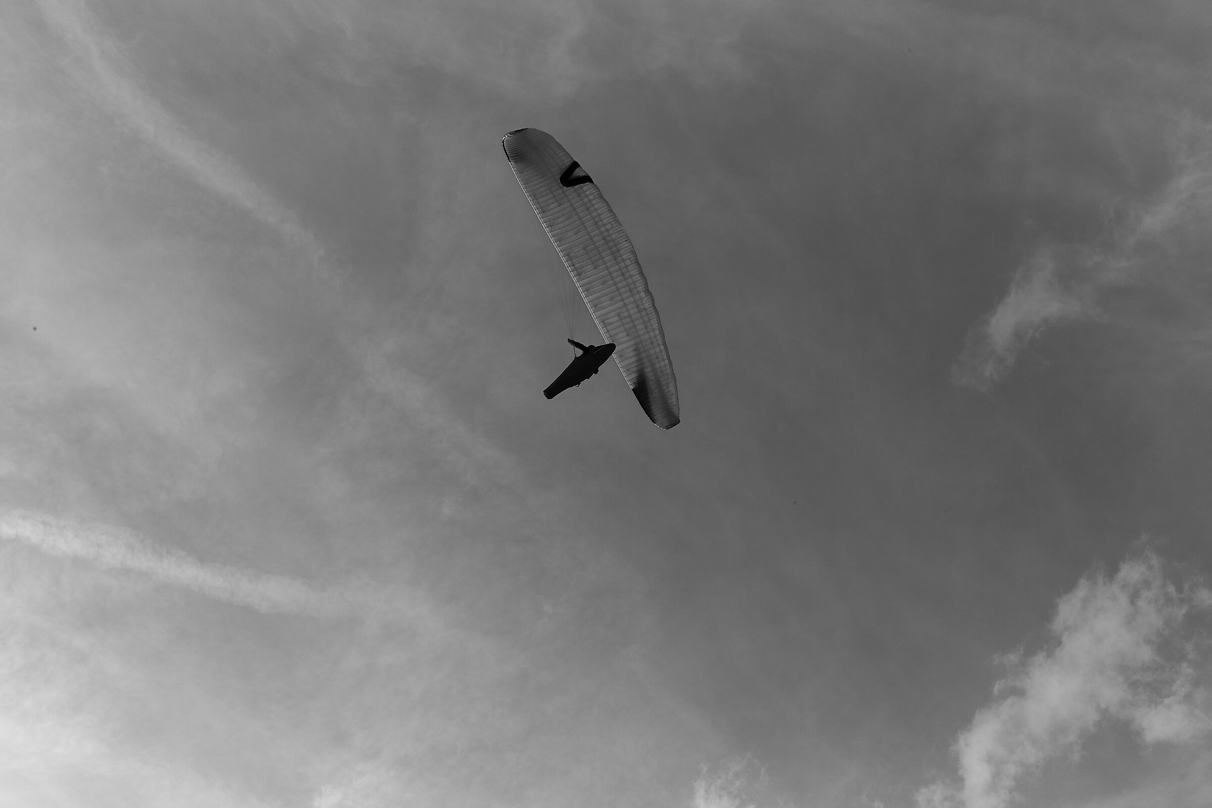 I believe I can Fly