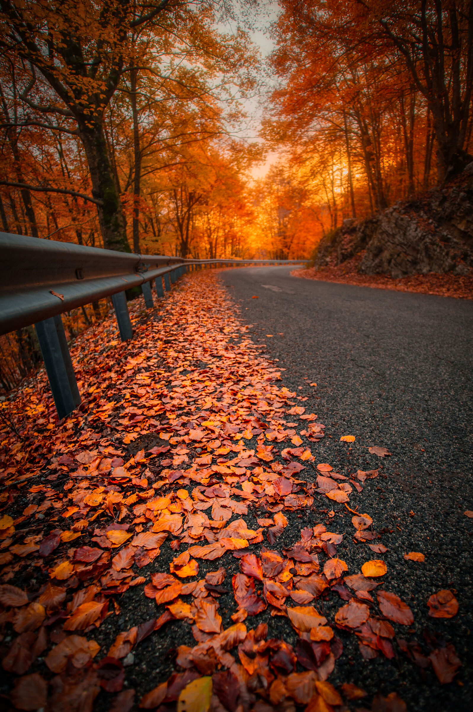 La strada dell'autunno