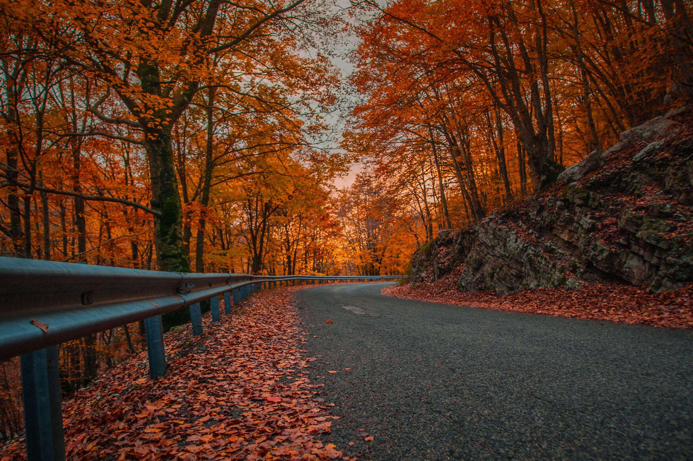 L'autunno corre via