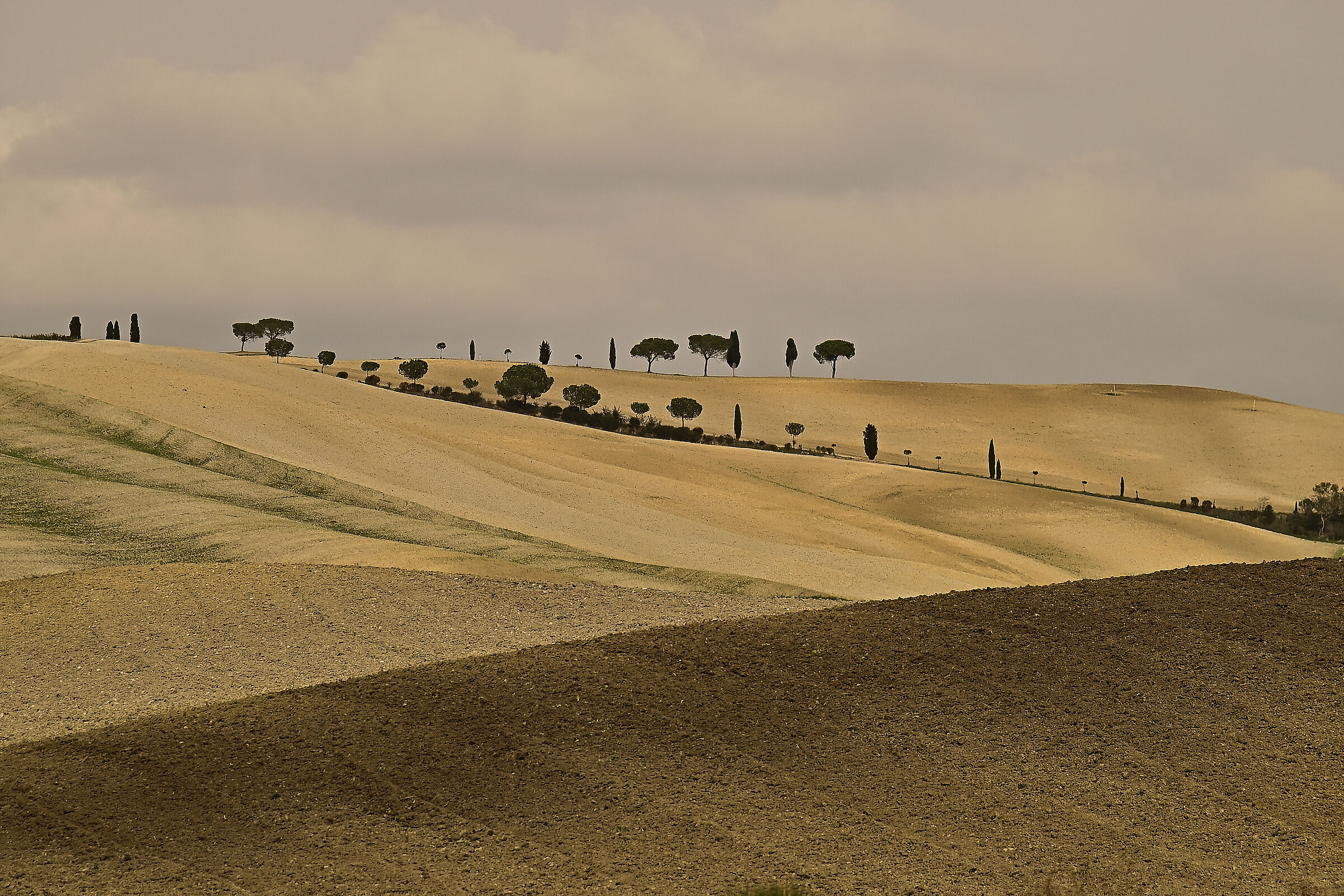 Val D'Orcia