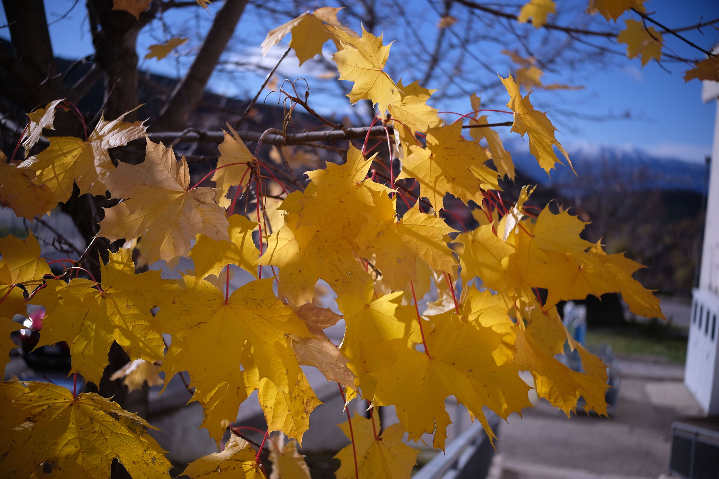 Test @2.8 con paraluce