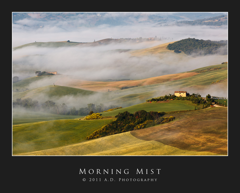 Morning Mist