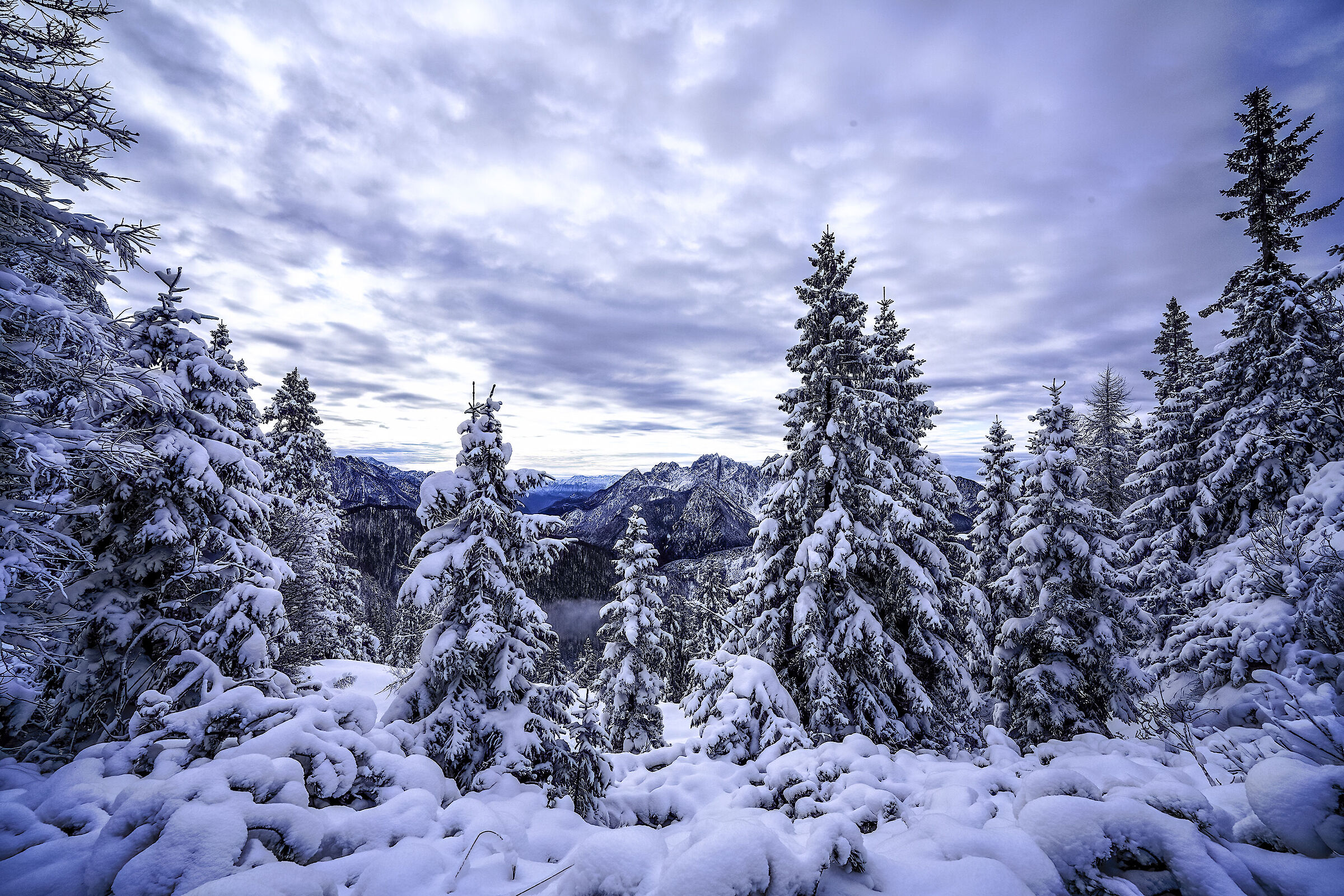 Neve finalmente è arrivata