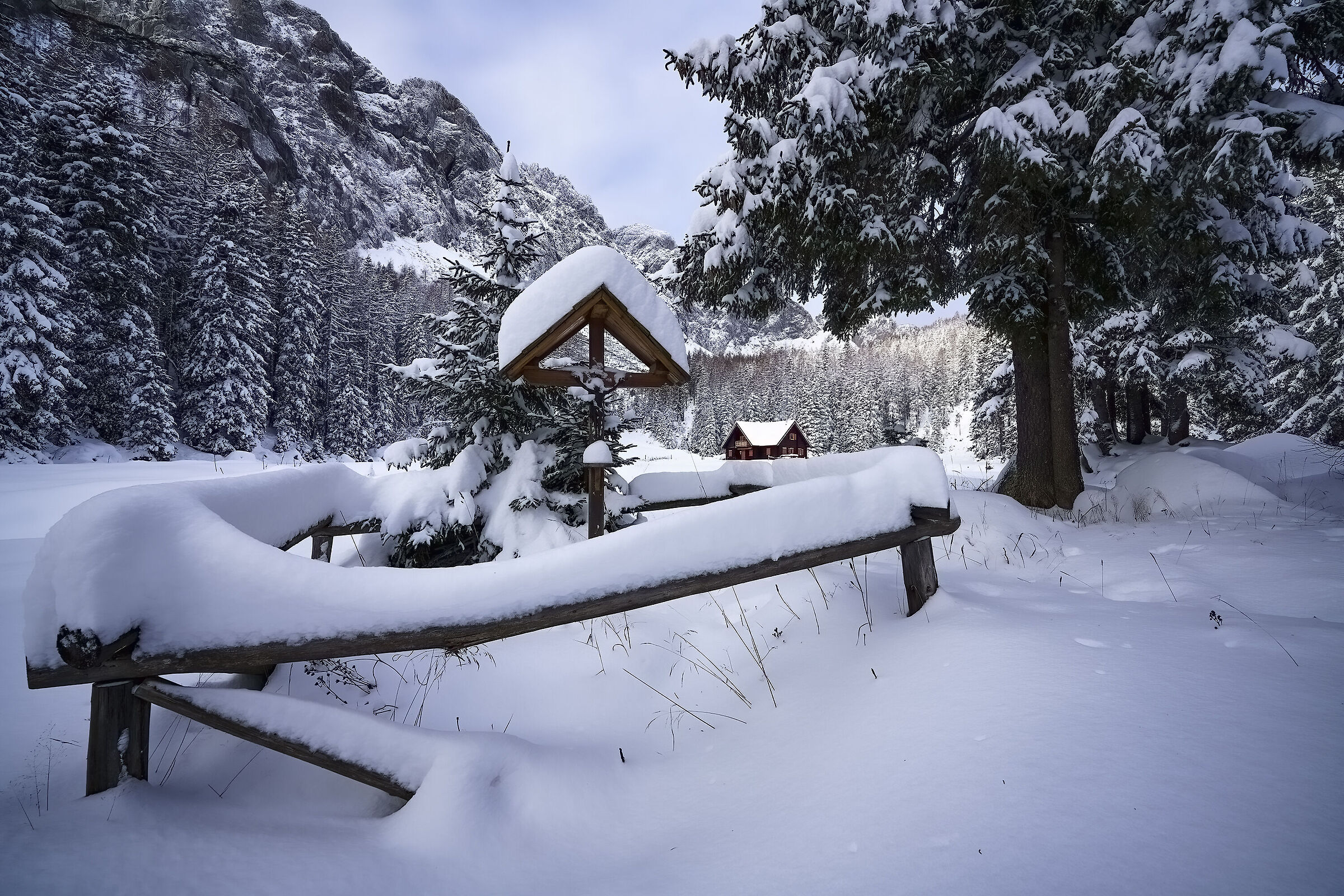 Prima nevicata 22/23