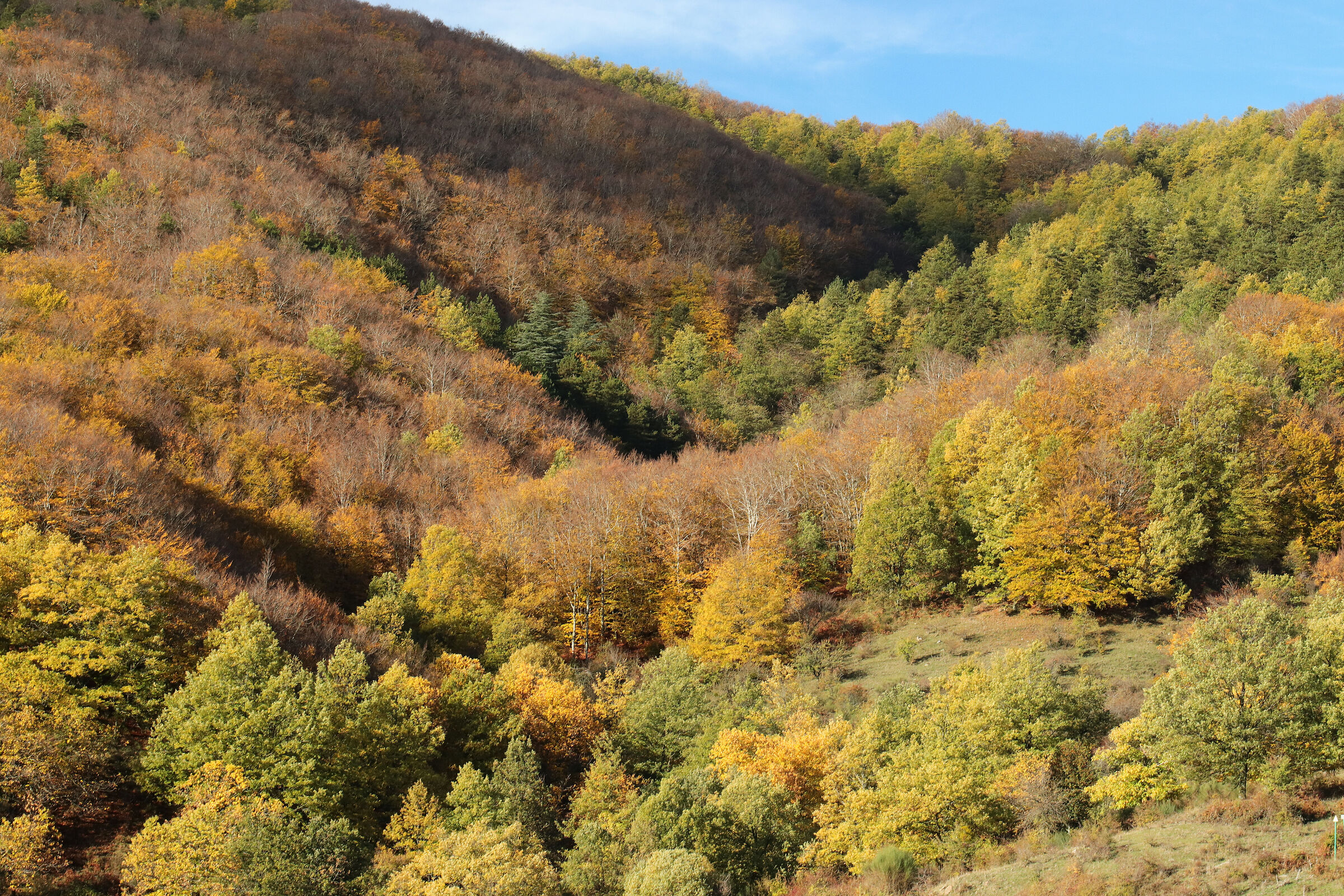 Autumn in the mountains