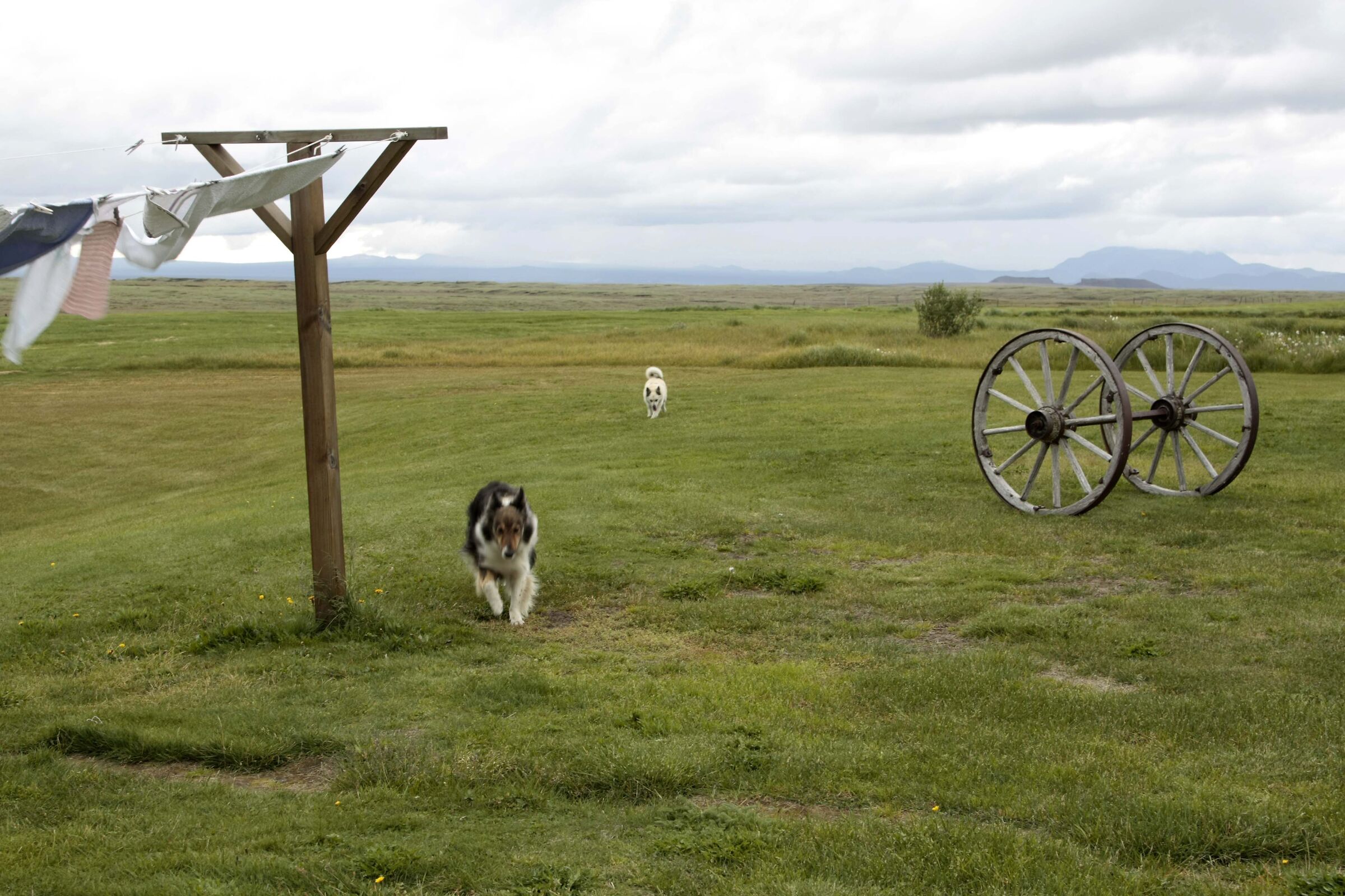 Borderless landscape