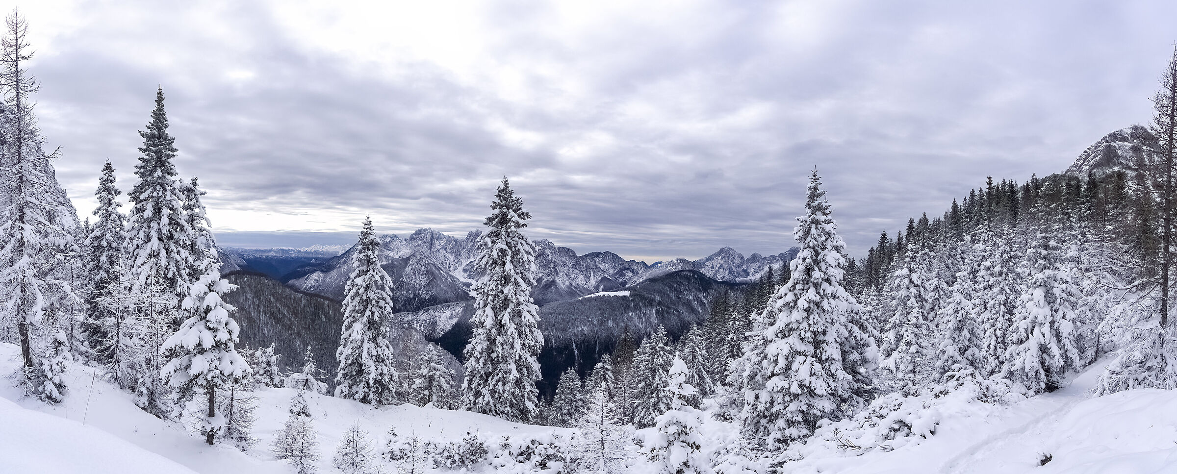 Pano invernale alpi Carniche