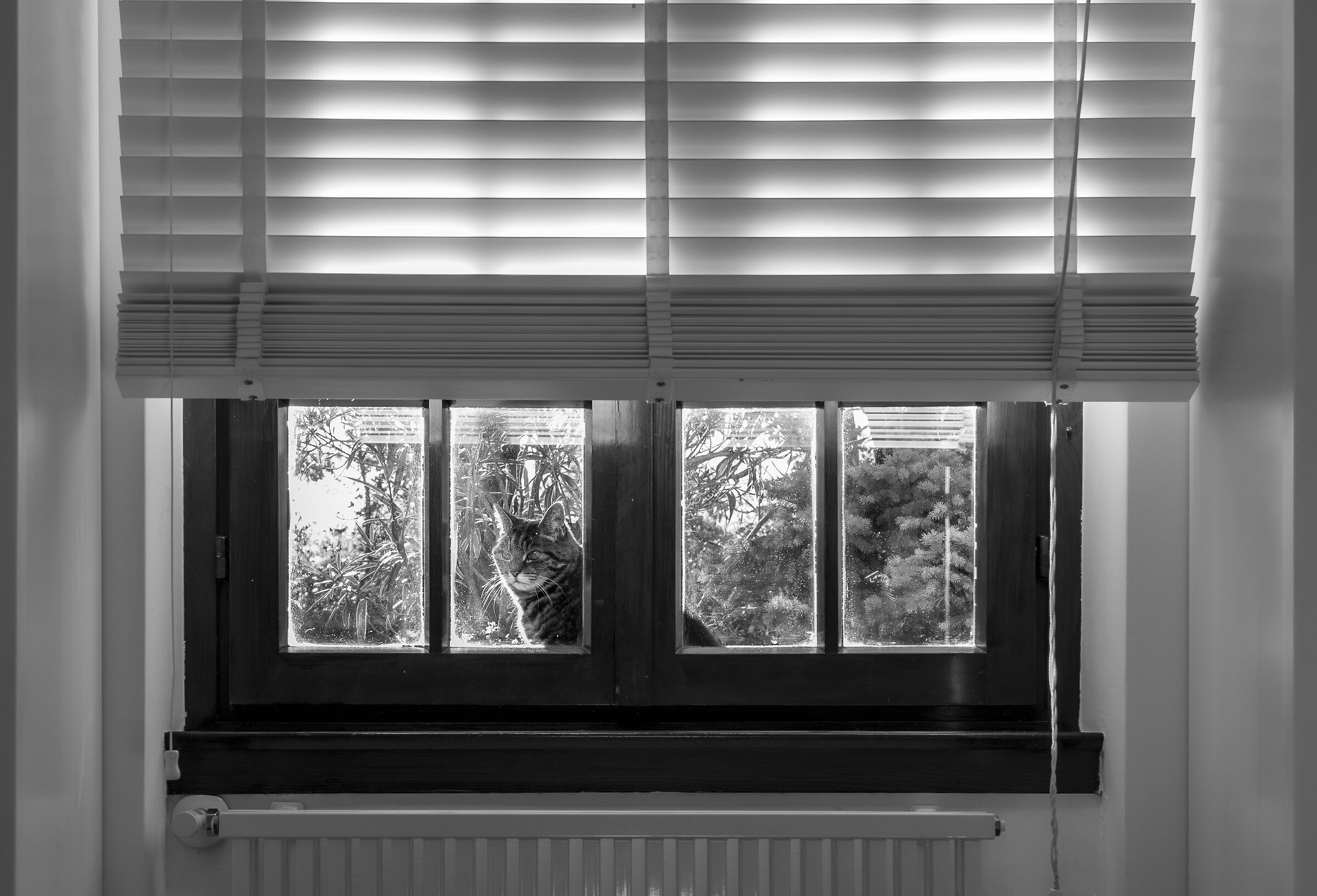 fatemi entrare …..