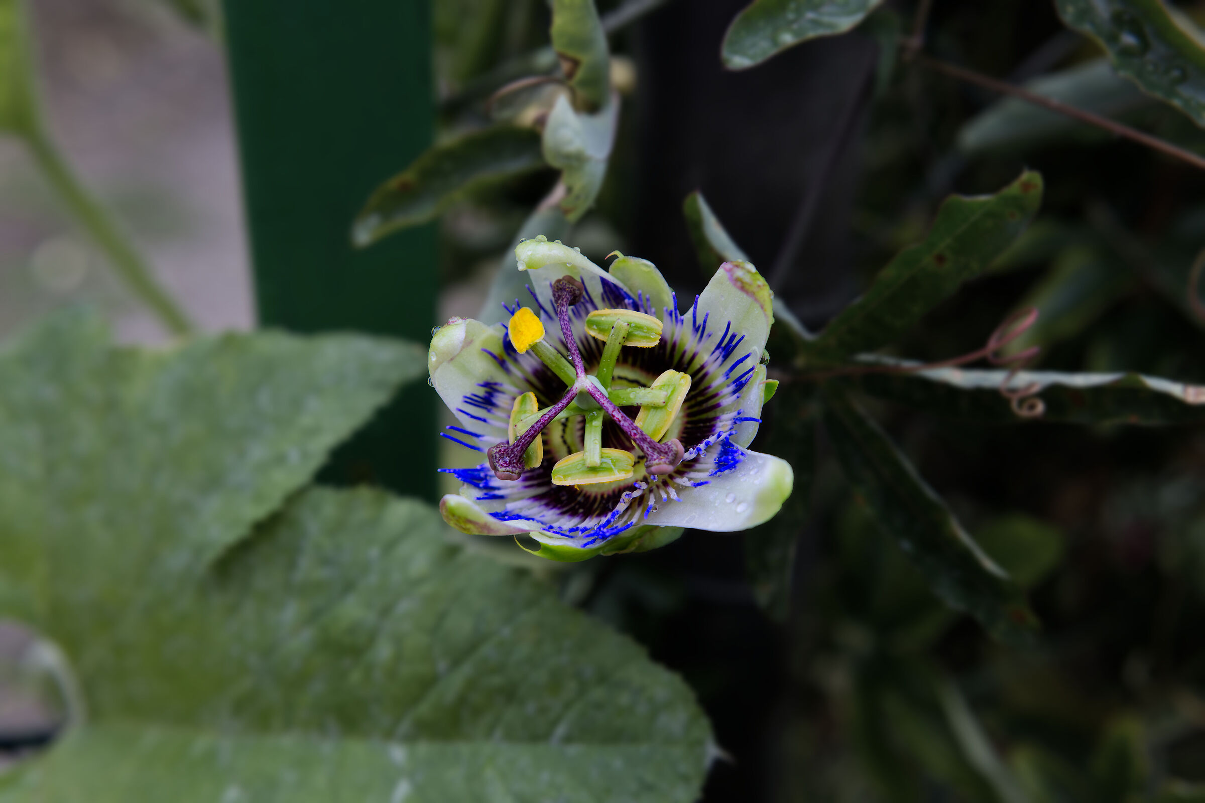 Untitled Photo