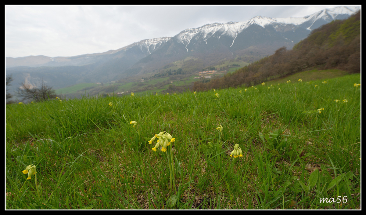 Monte Baldo - Verona