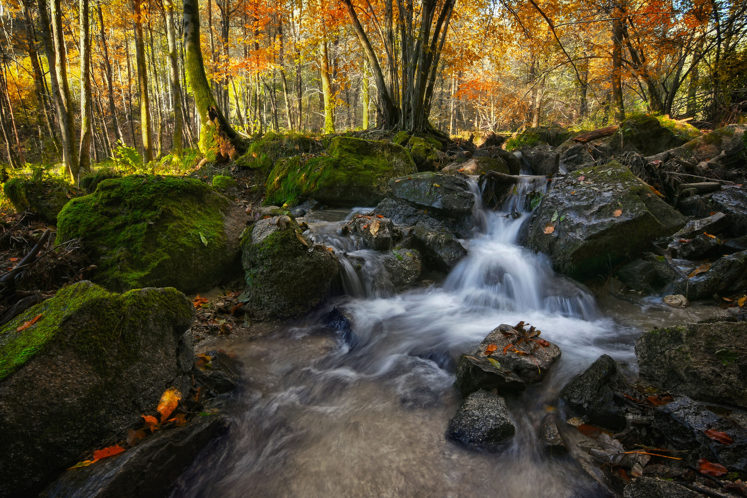 Autumn river