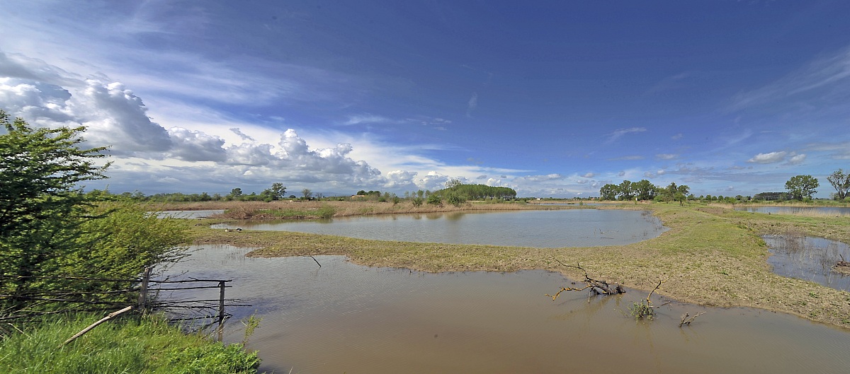 mosaico di 3 scatti!!