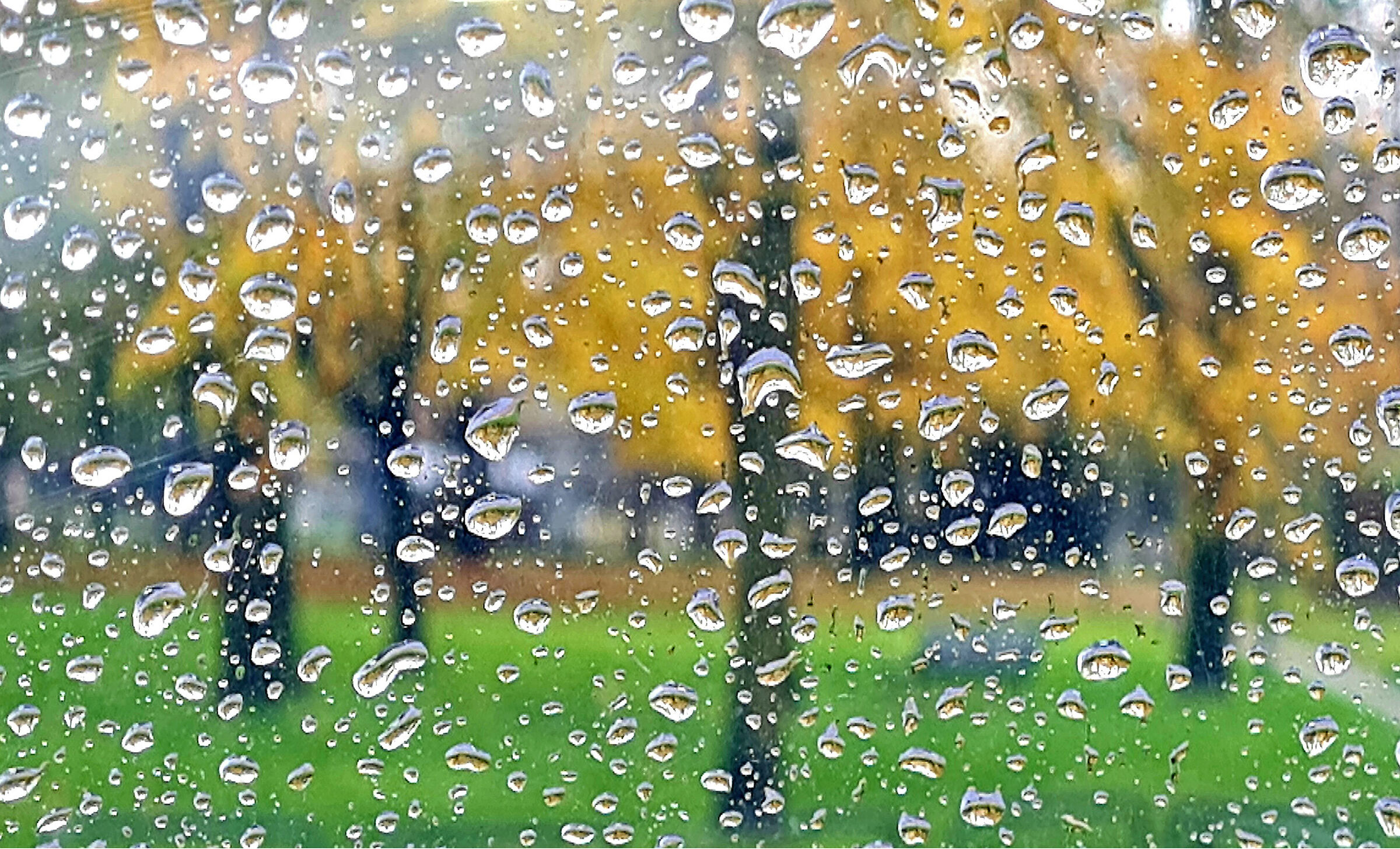 sotto la pioggia ..l'autunno