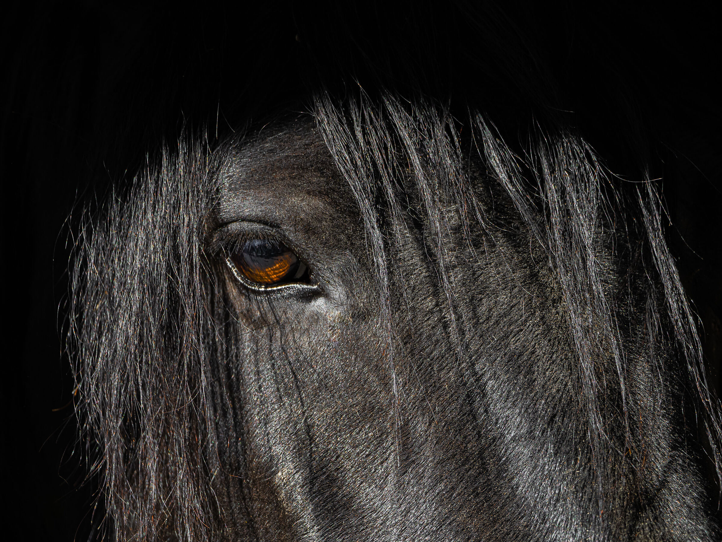 black and brown....