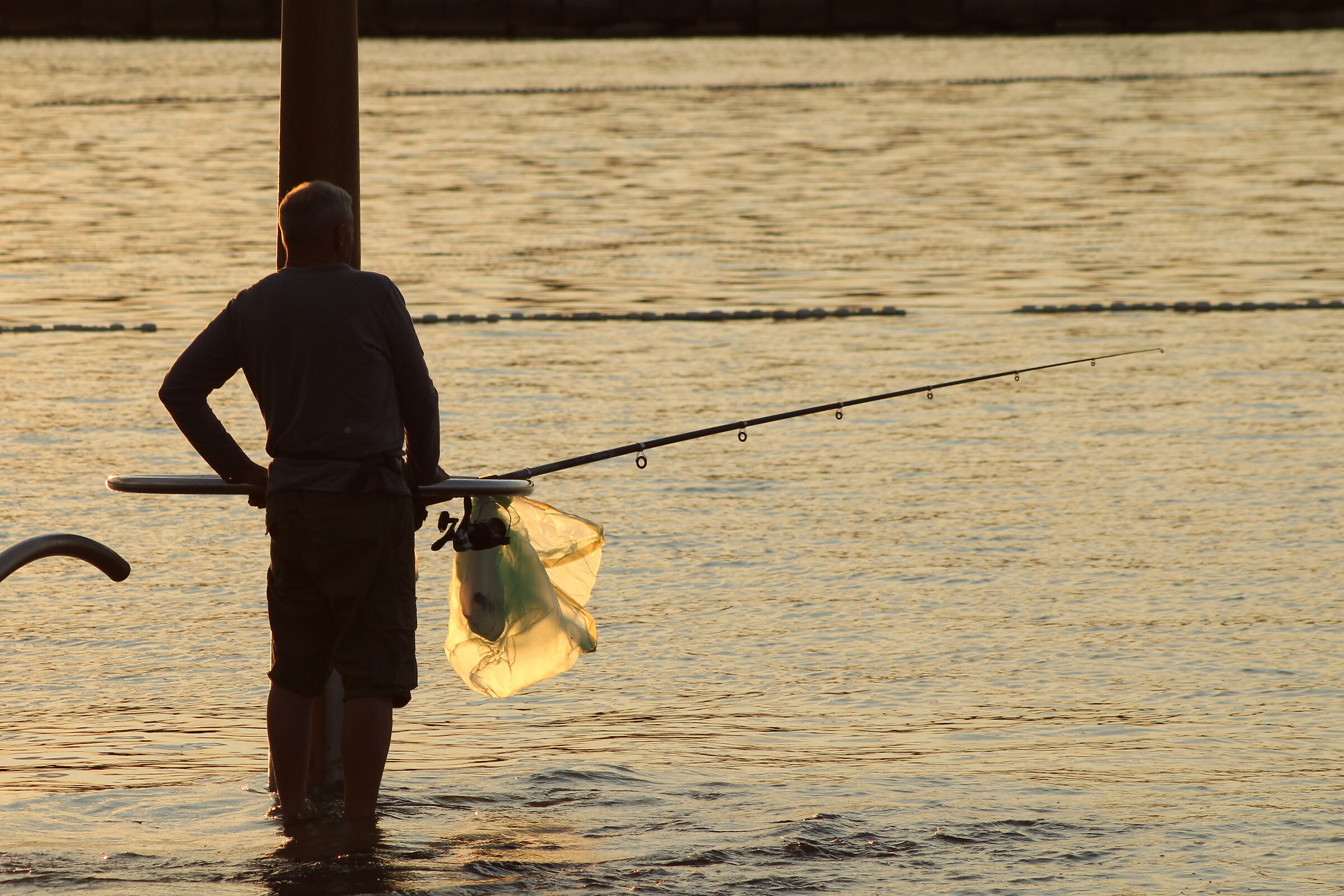 Stewed fisherman, without outline.