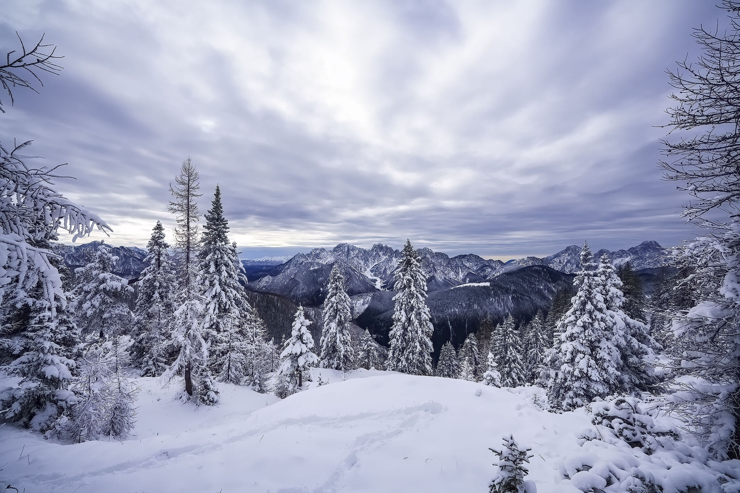 Abeti e neve autunno 2022