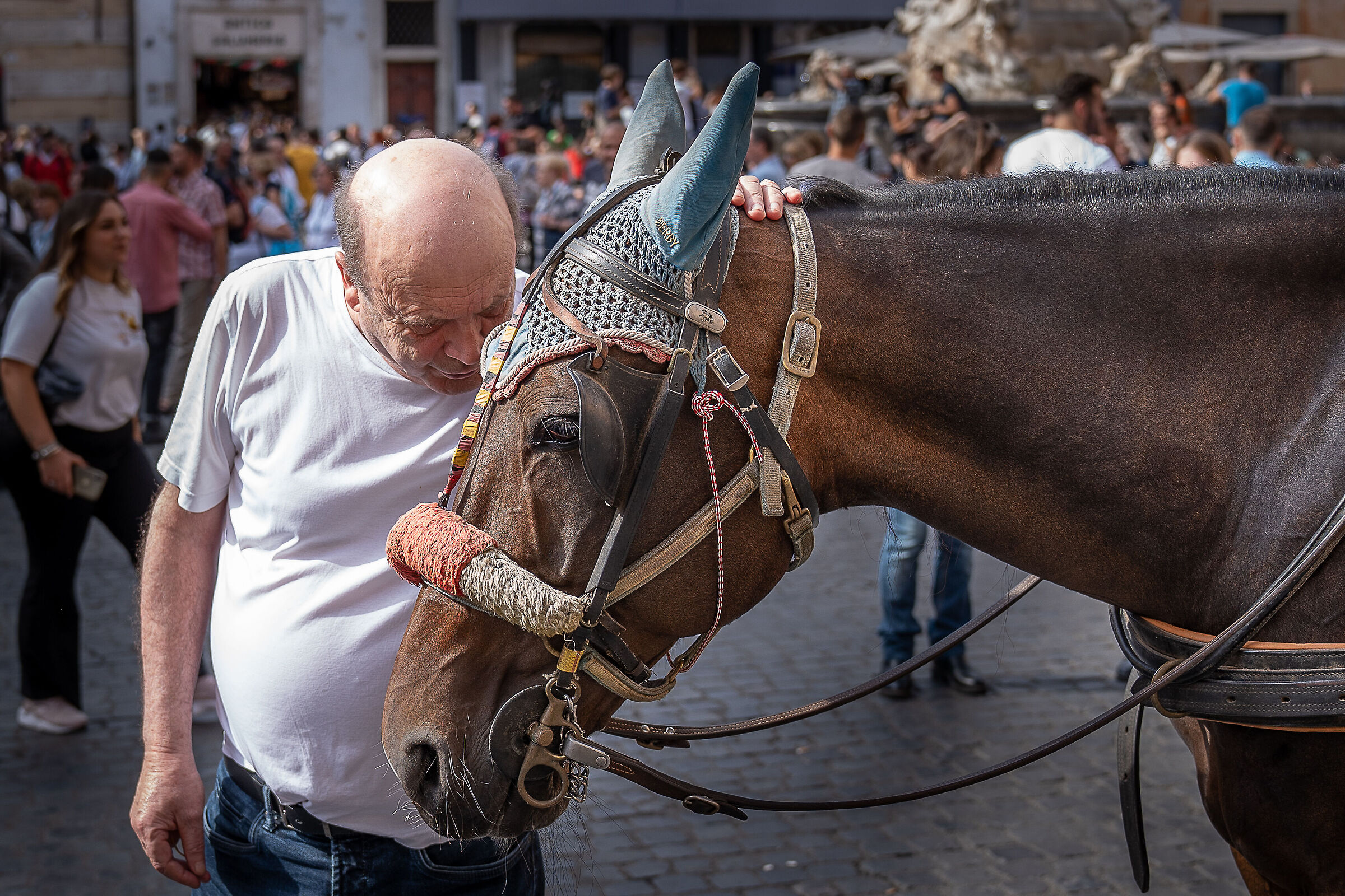 The man who whispered to horses [Rome, Pantheon]