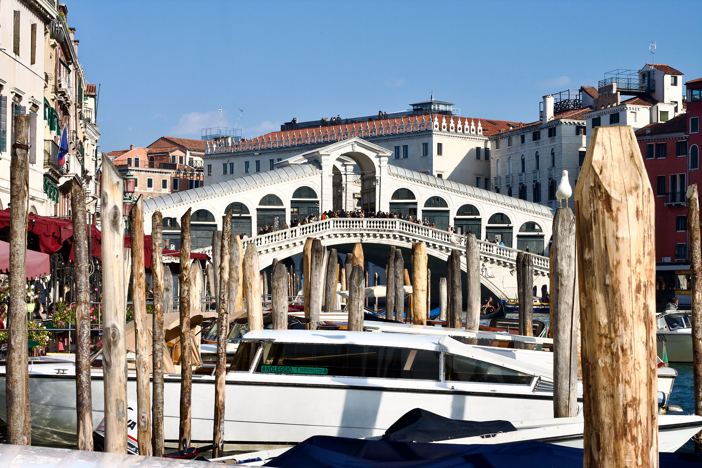 Venexia_Rialto