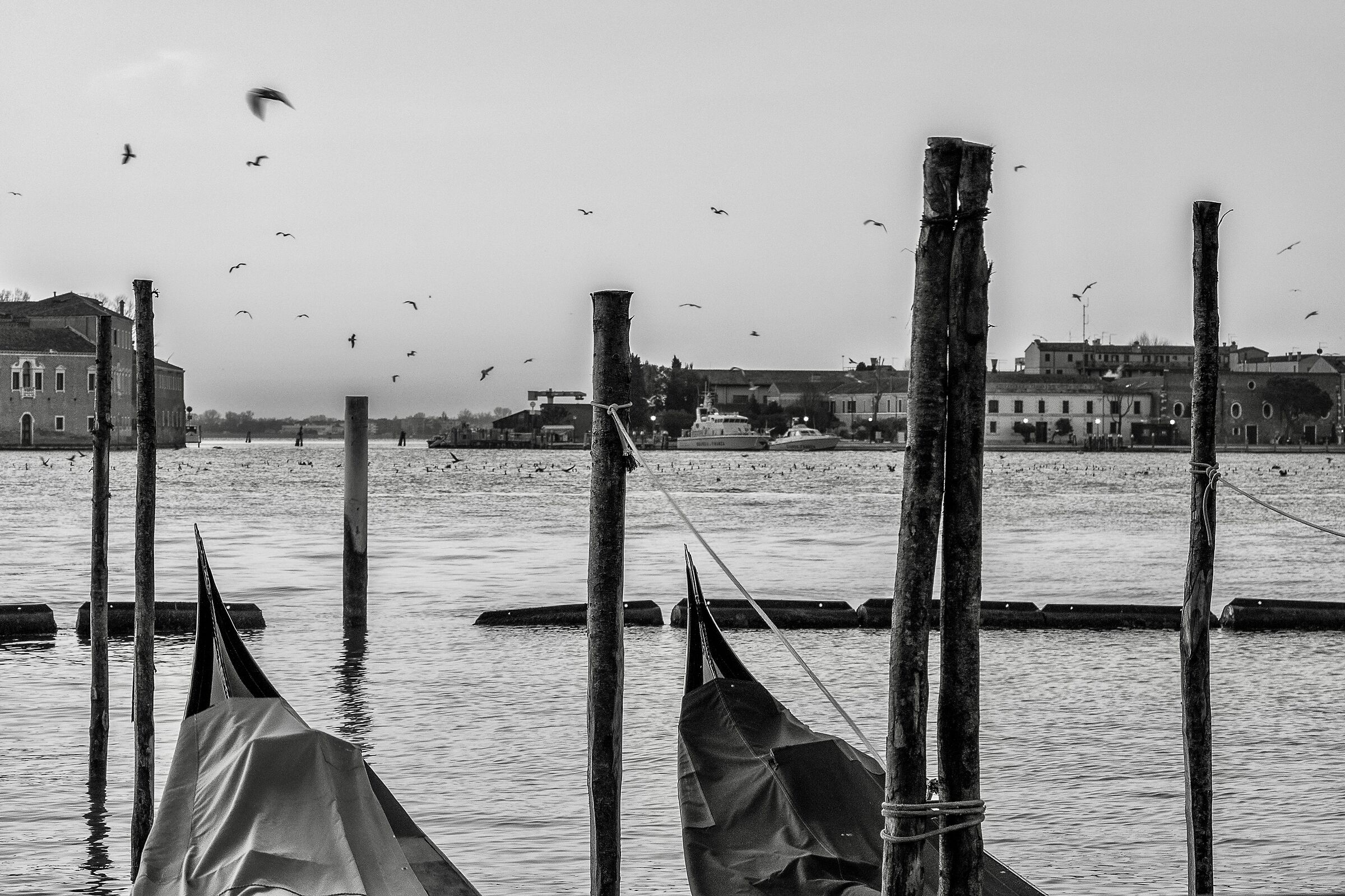 venice