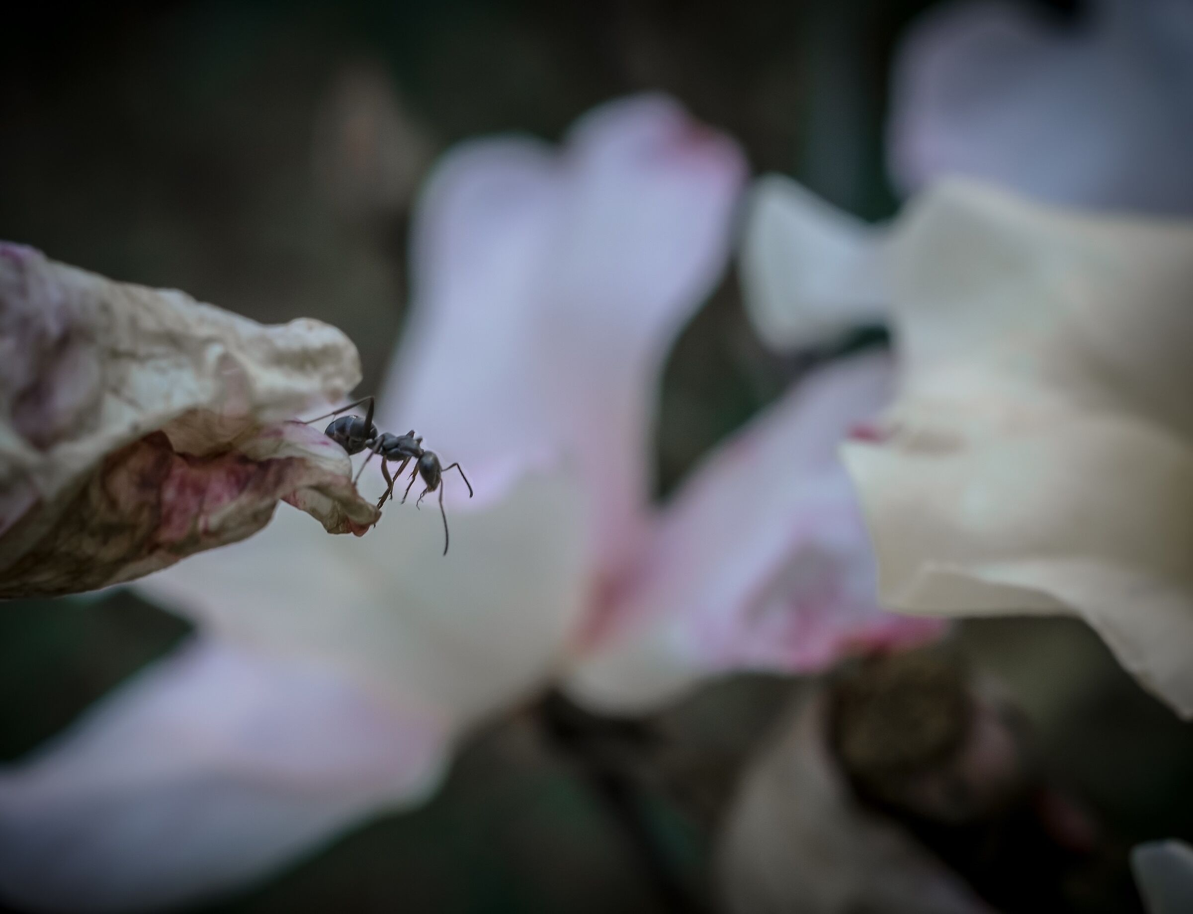Untitled Photo