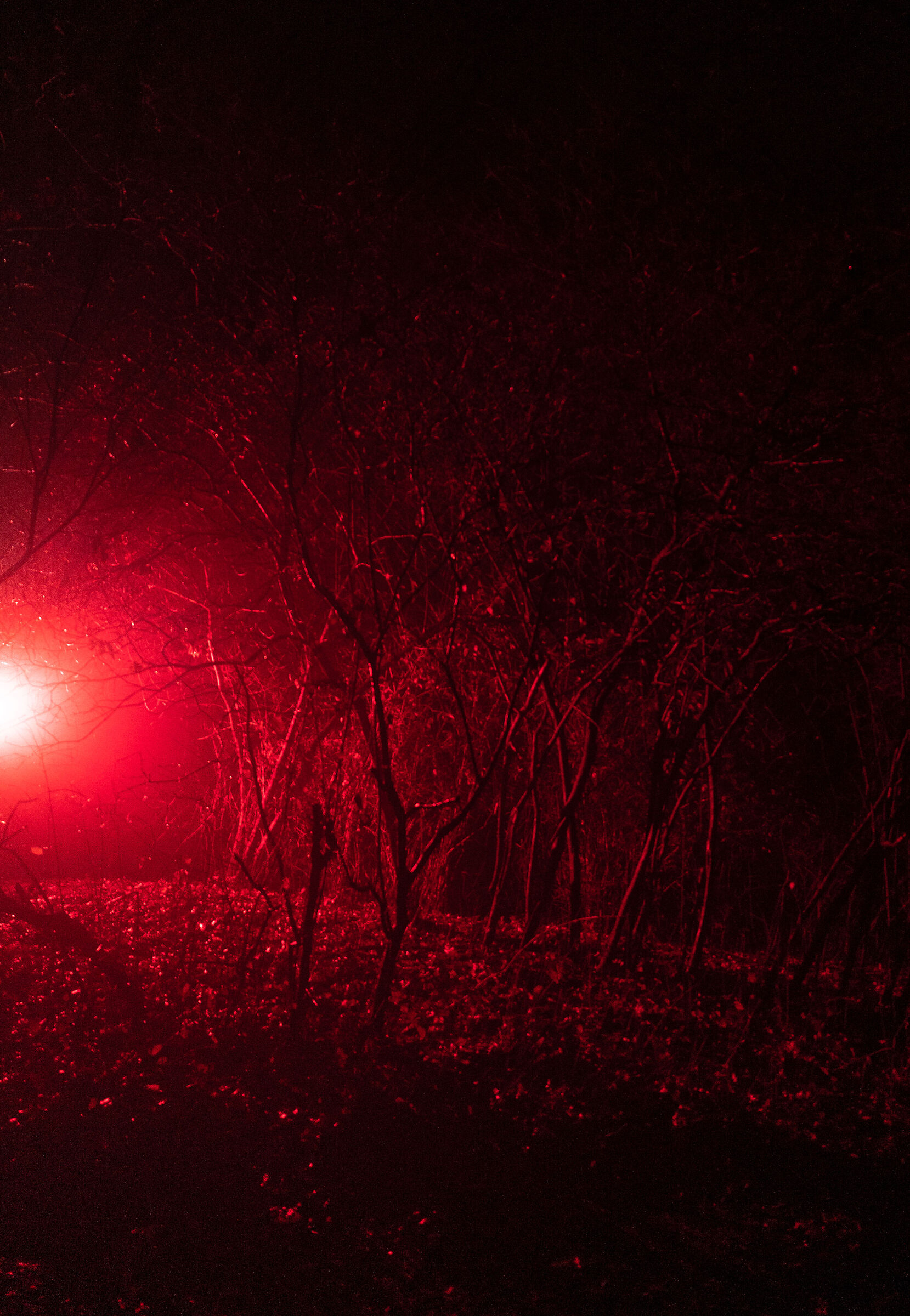 red. Spielplatz. Finkenwerder