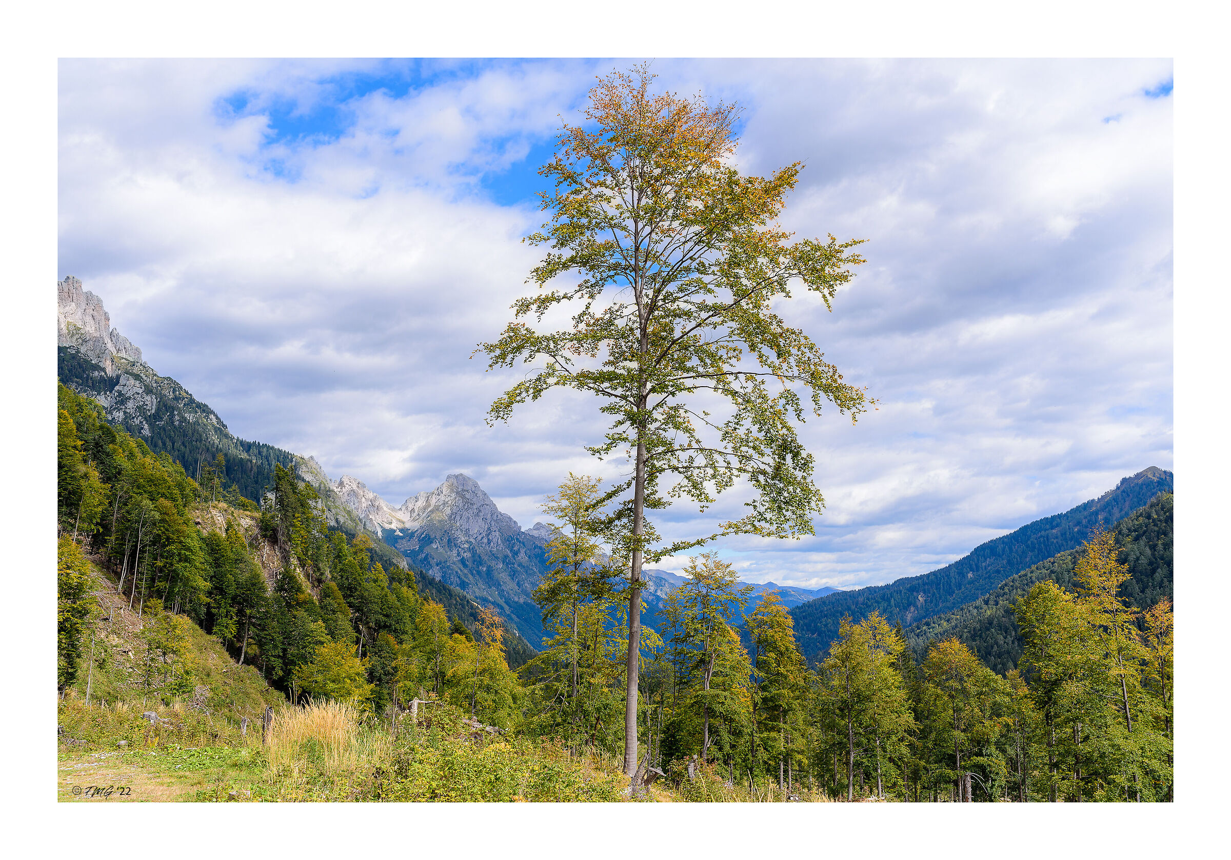 Alta valle di San Canciano