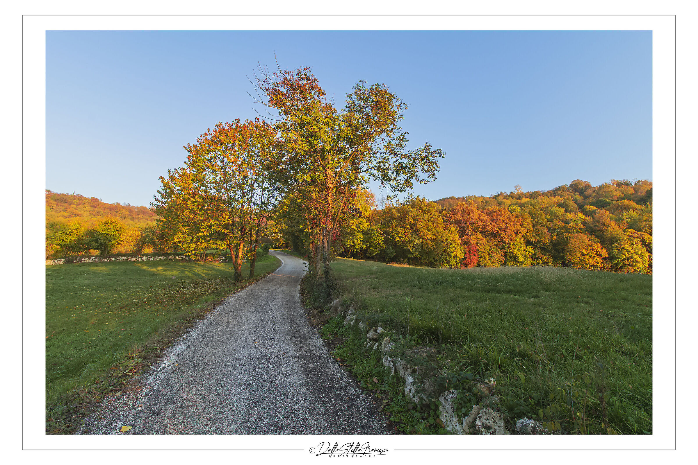 Glimpses of November