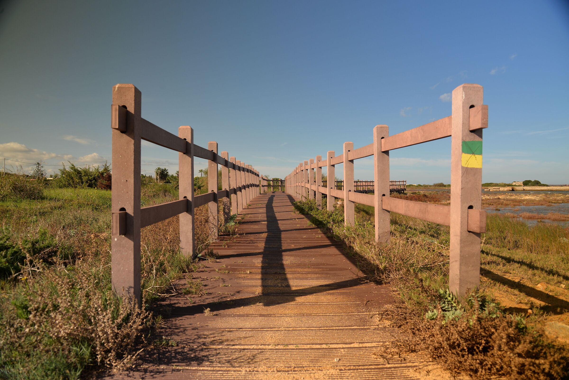 Fence