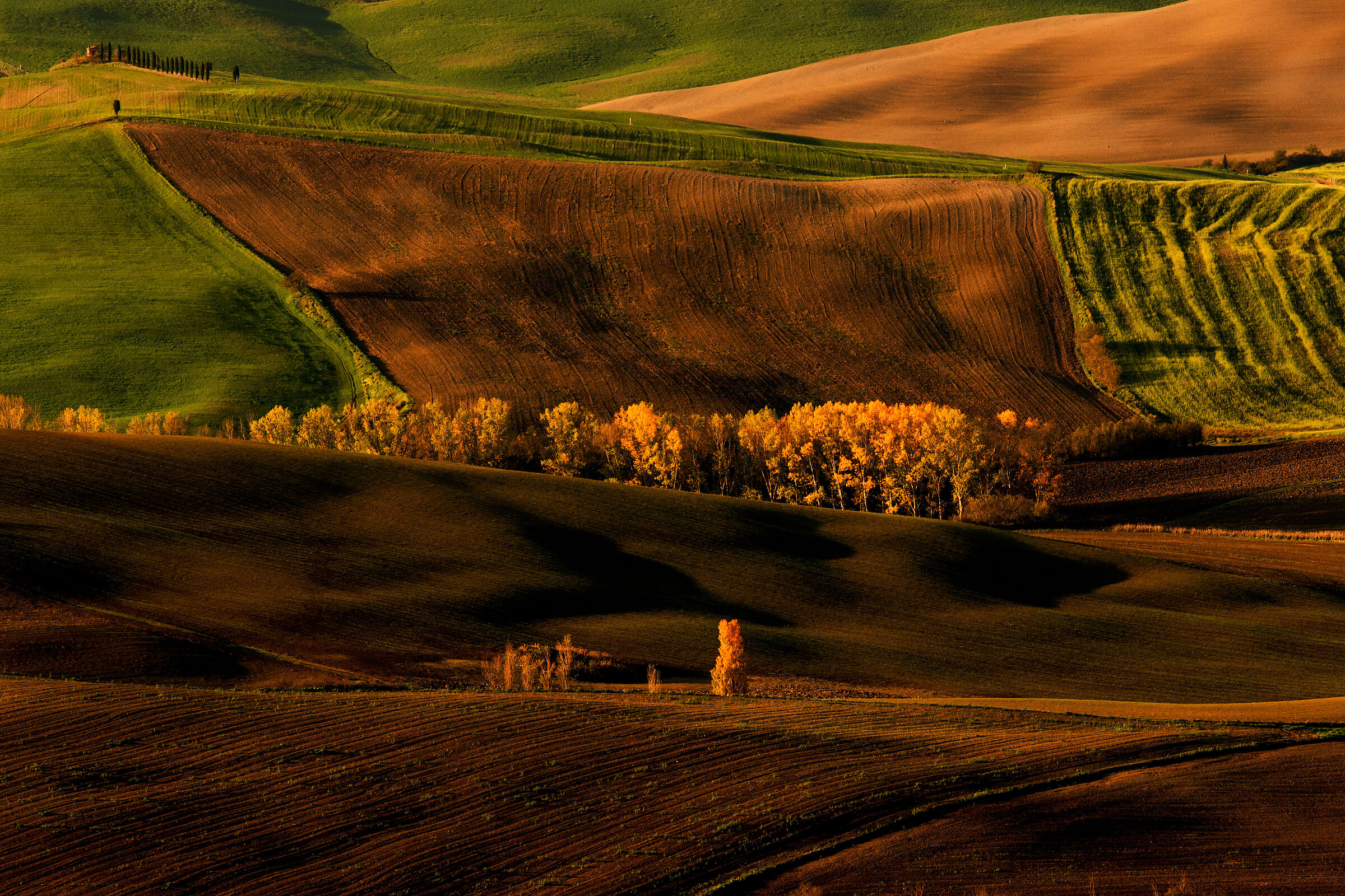 autunno toscano...