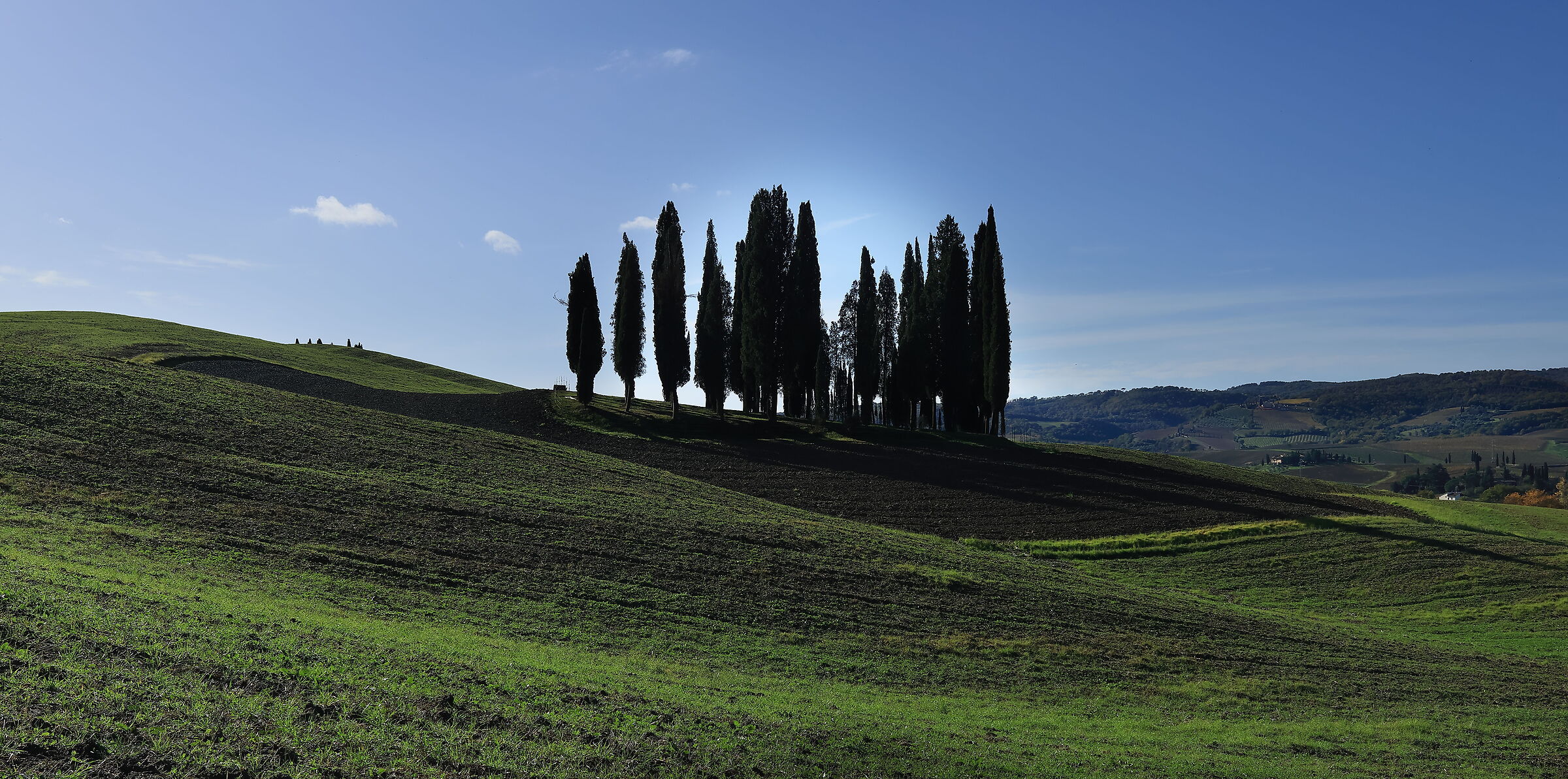 Il Boschetto dei Cipressi