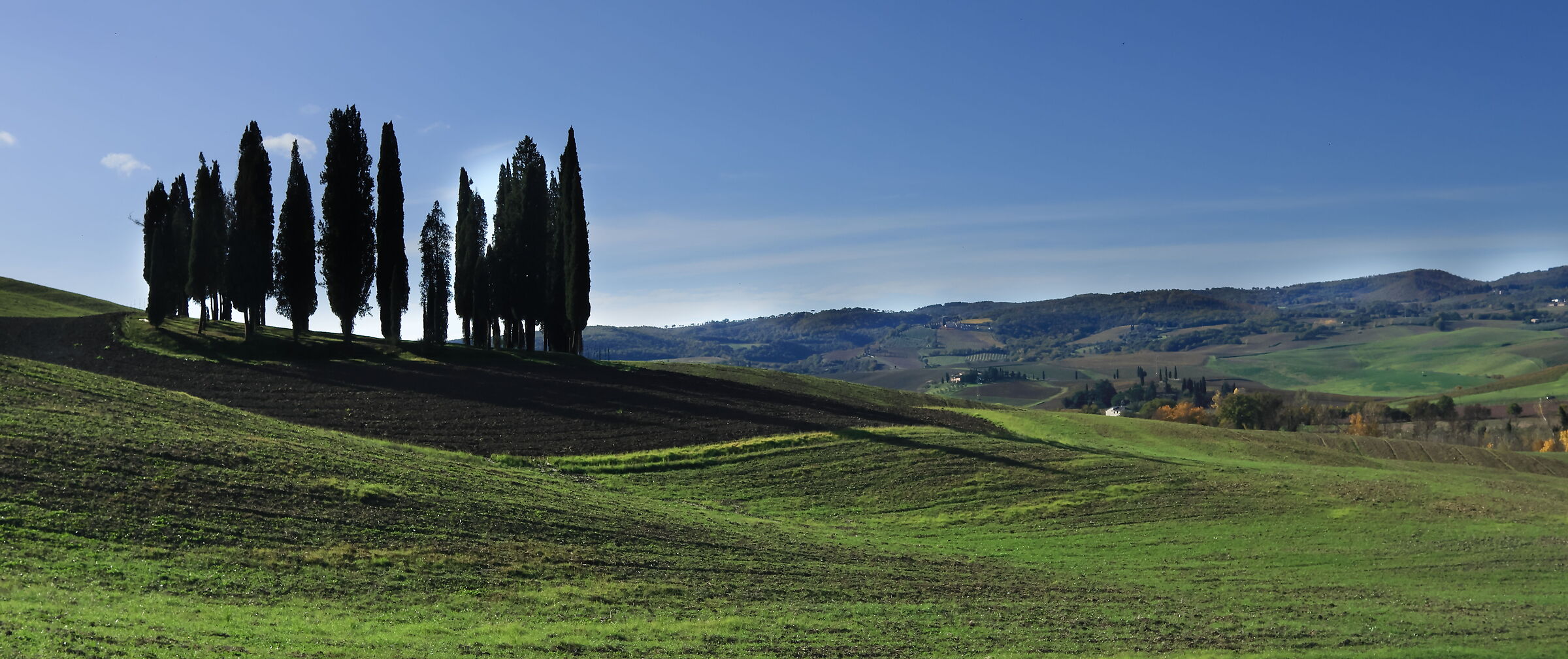 Il Boschetto dei Cipressi