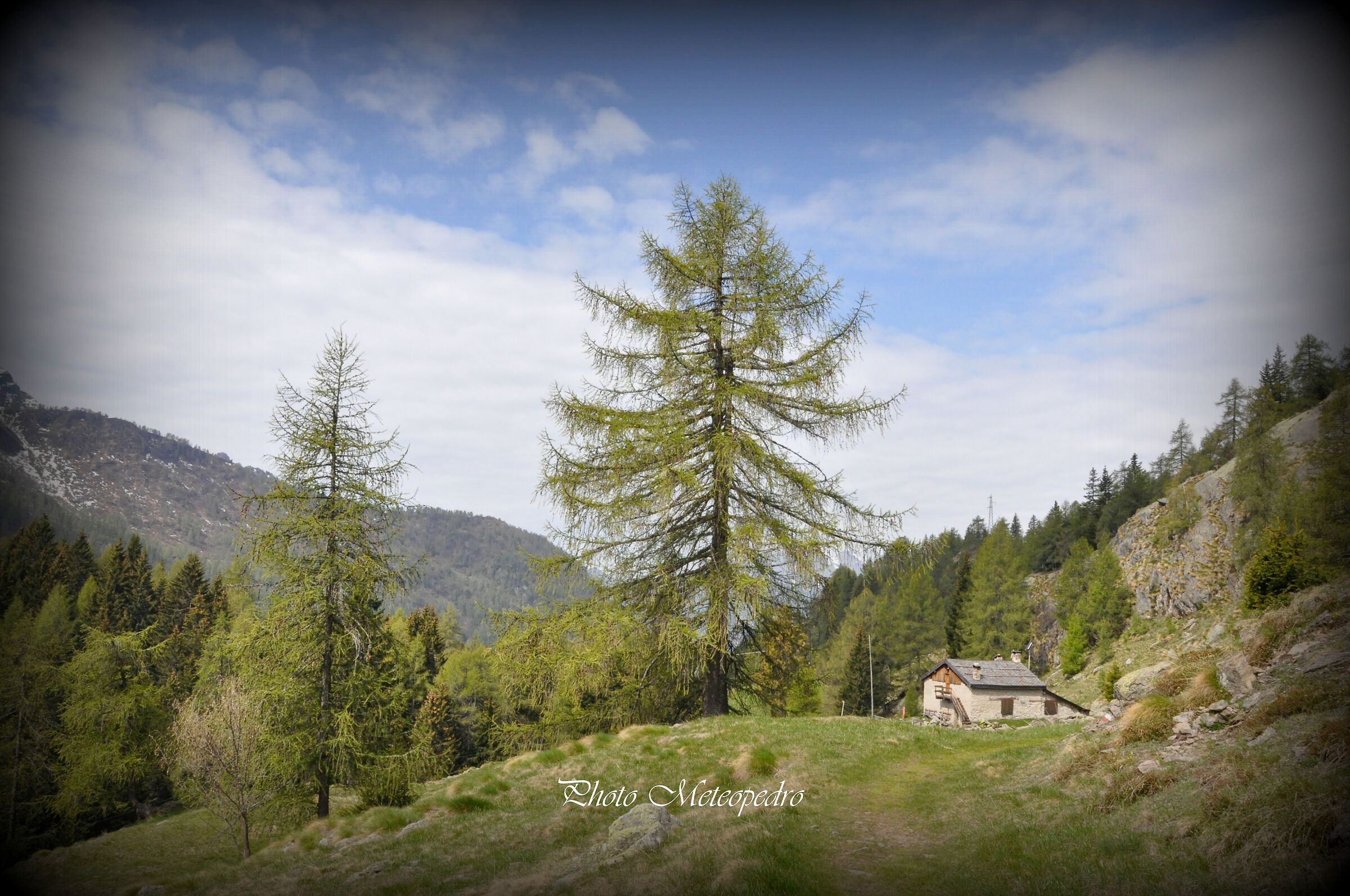 segnali di primavera