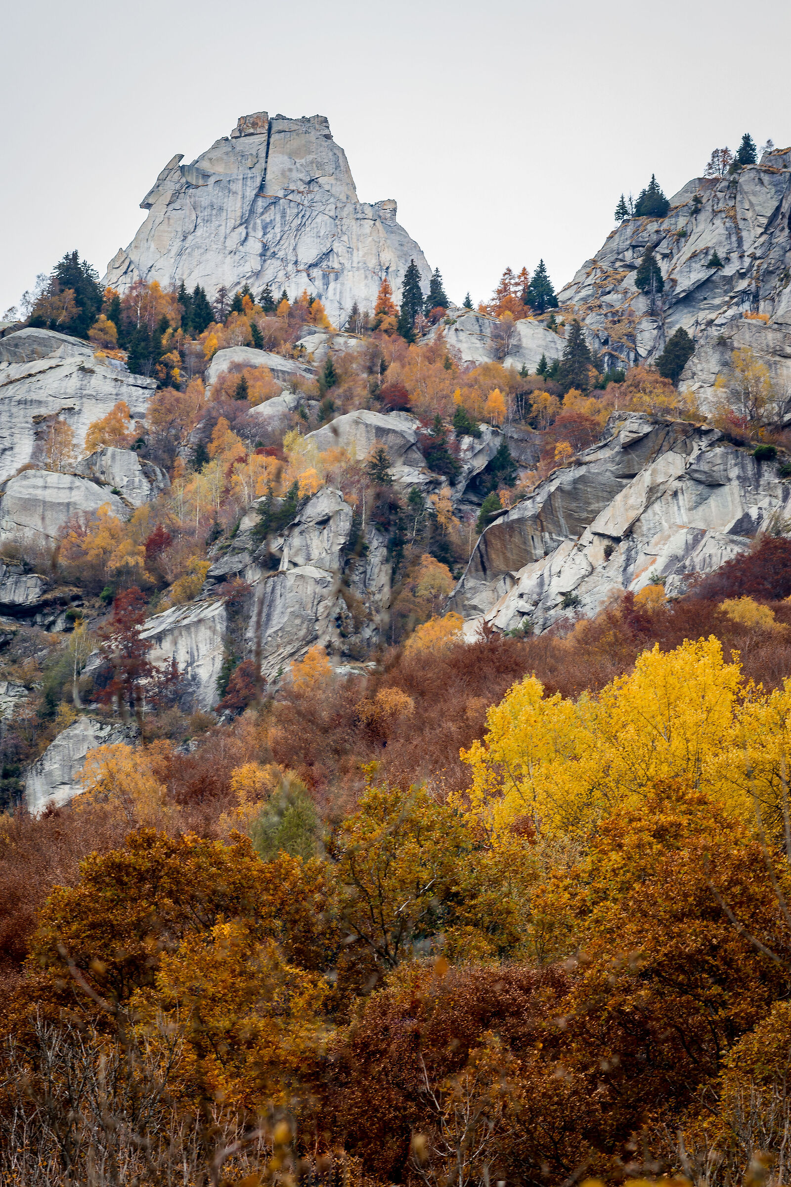 Cavalcorto, Val Masino