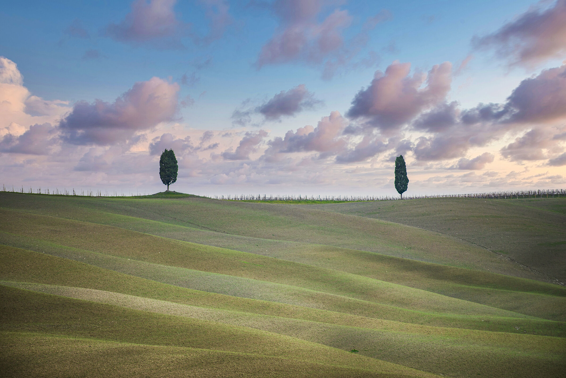 Shapes in the Green