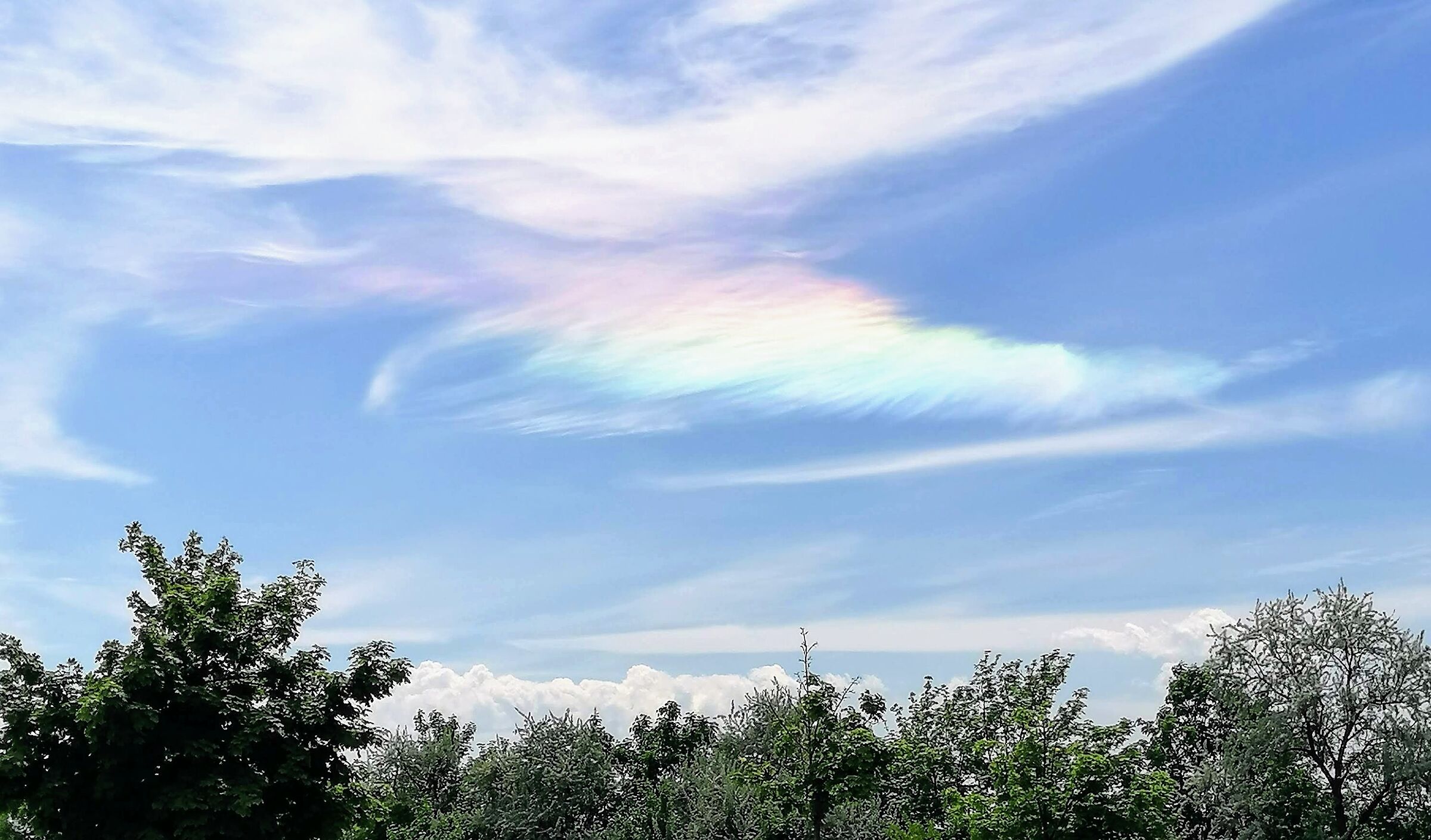 Zirkumhorizontalbogen