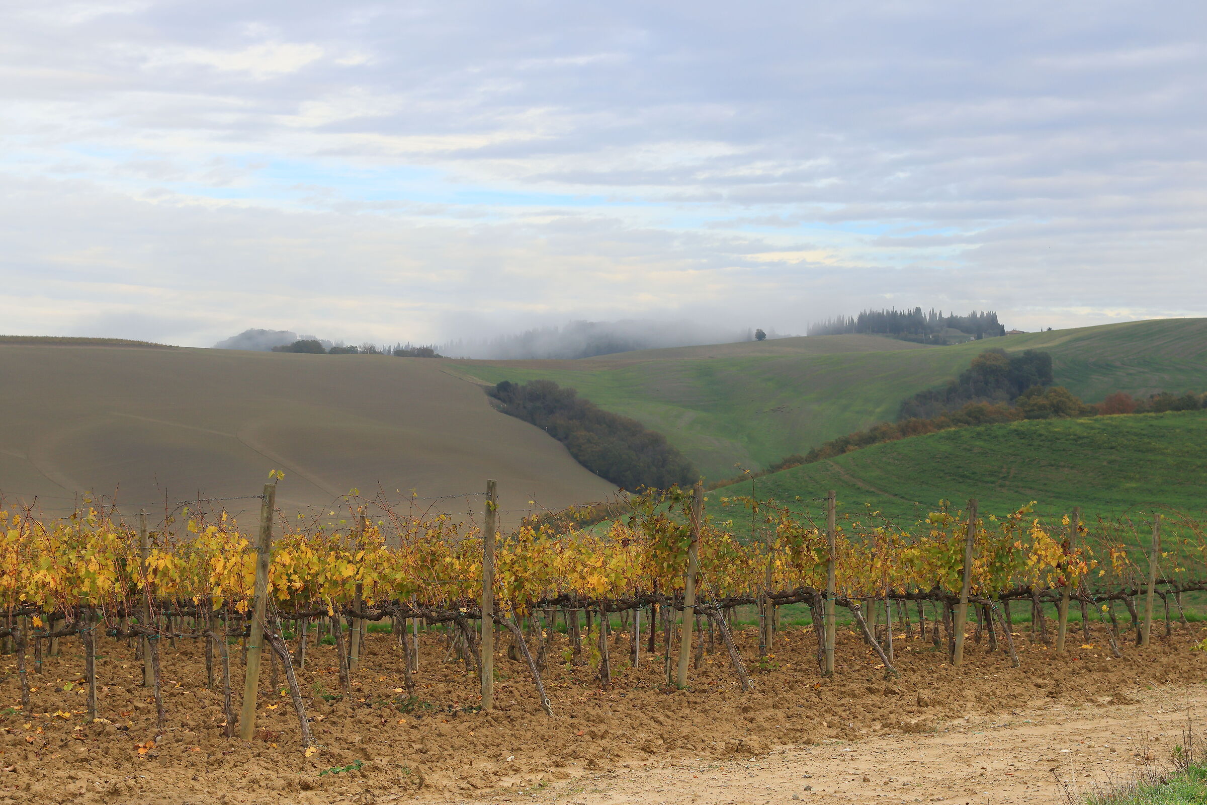 Val D'Orcia in Autunno