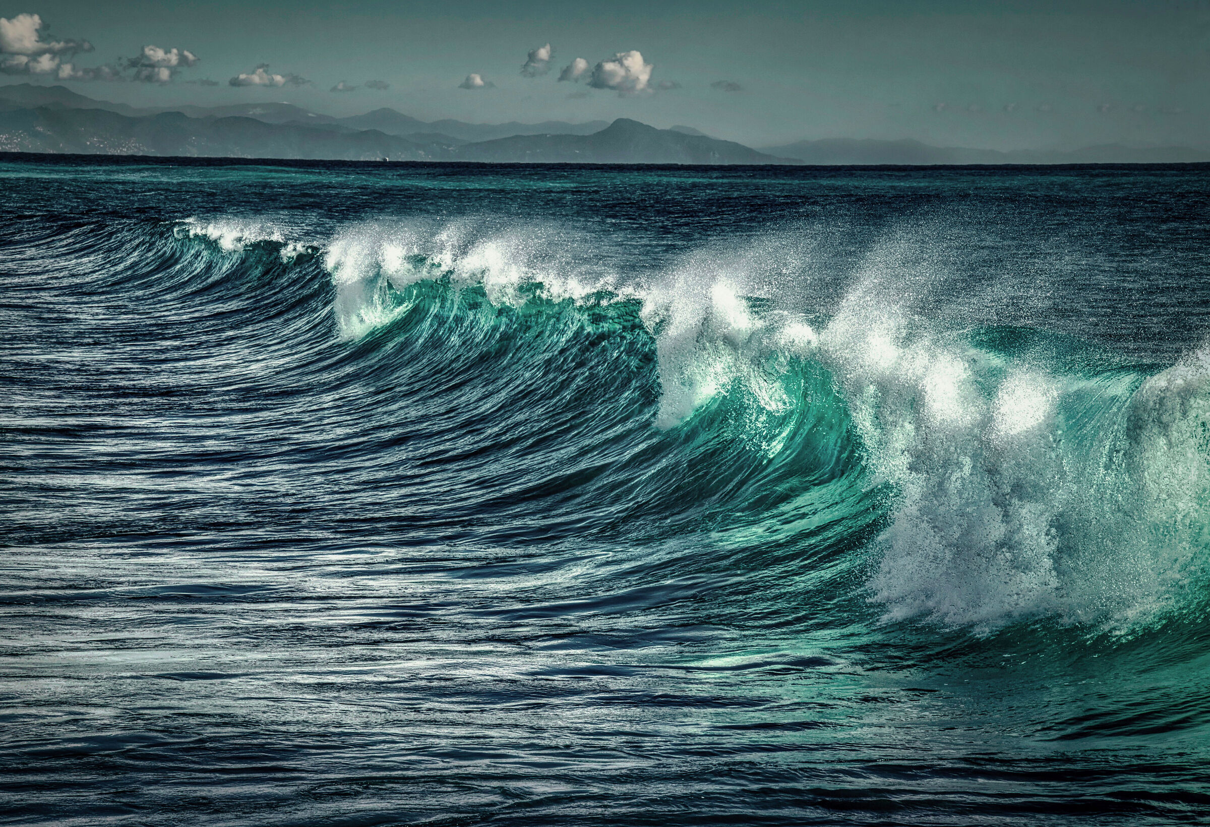 On the crest of the wave...