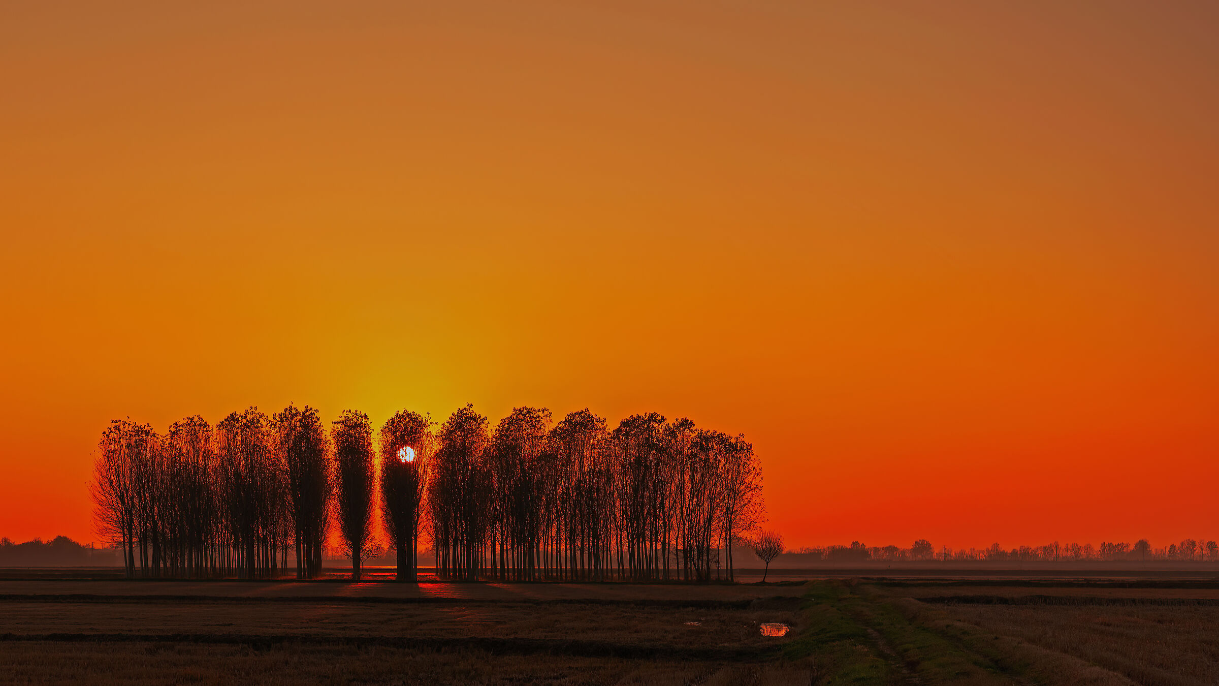 Red in the evening..............