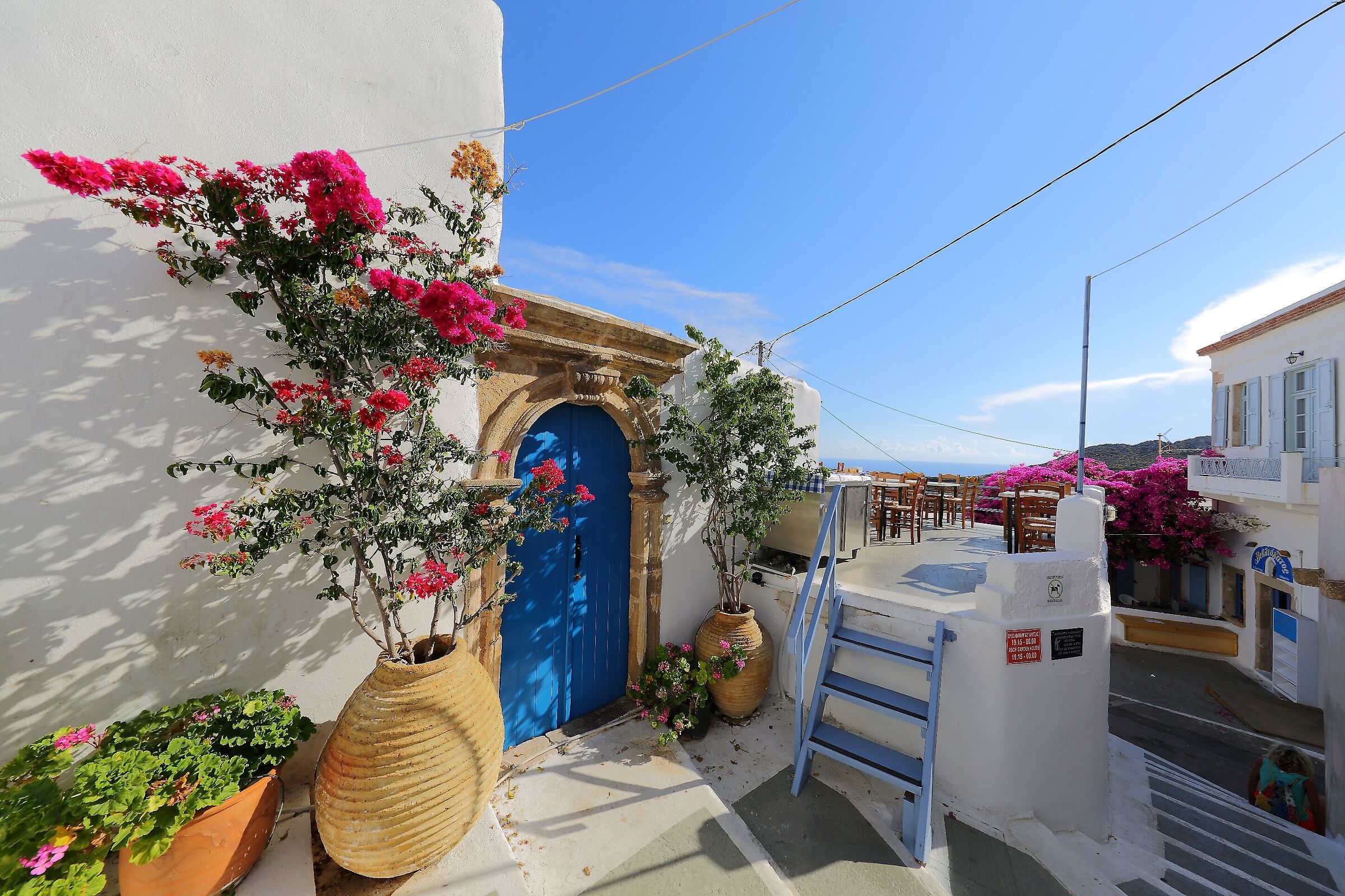 La Chora - La magia delle bouganville