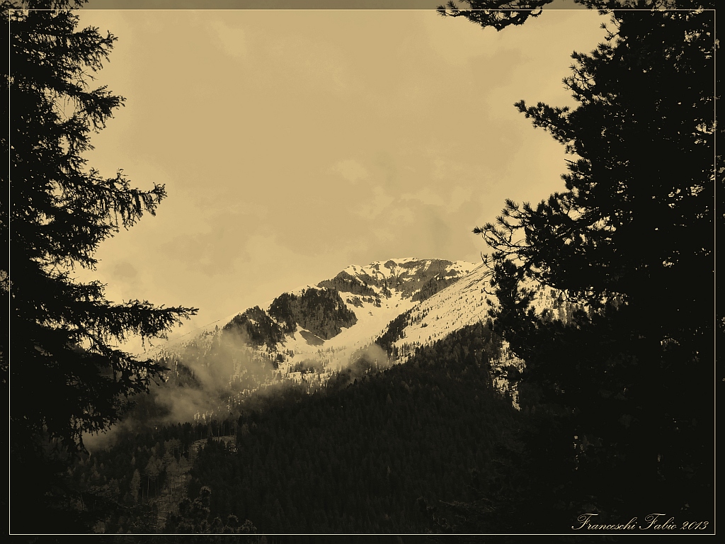 A glimpse through the trees!