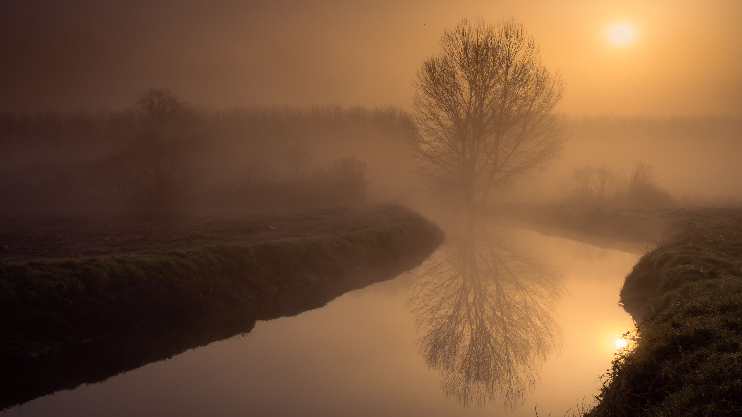 Alba nel Padule di Fucecchio