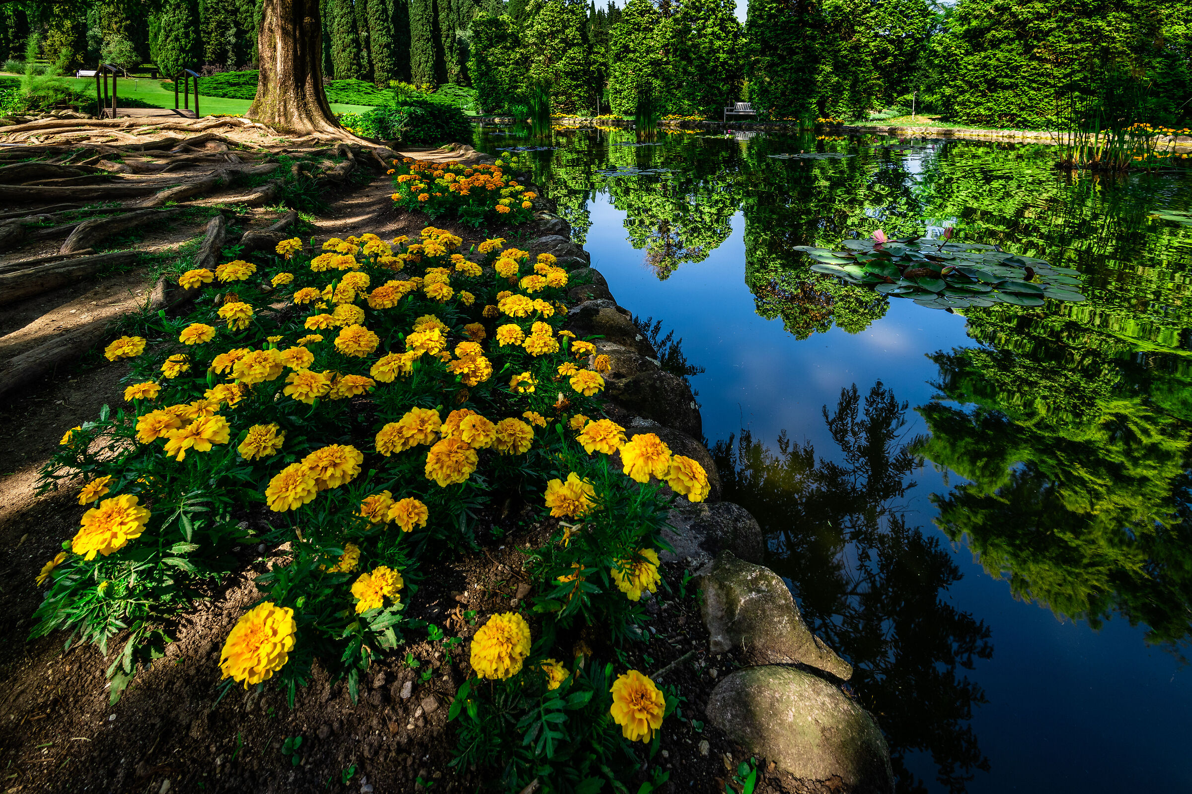 Yellow, Blue & Green