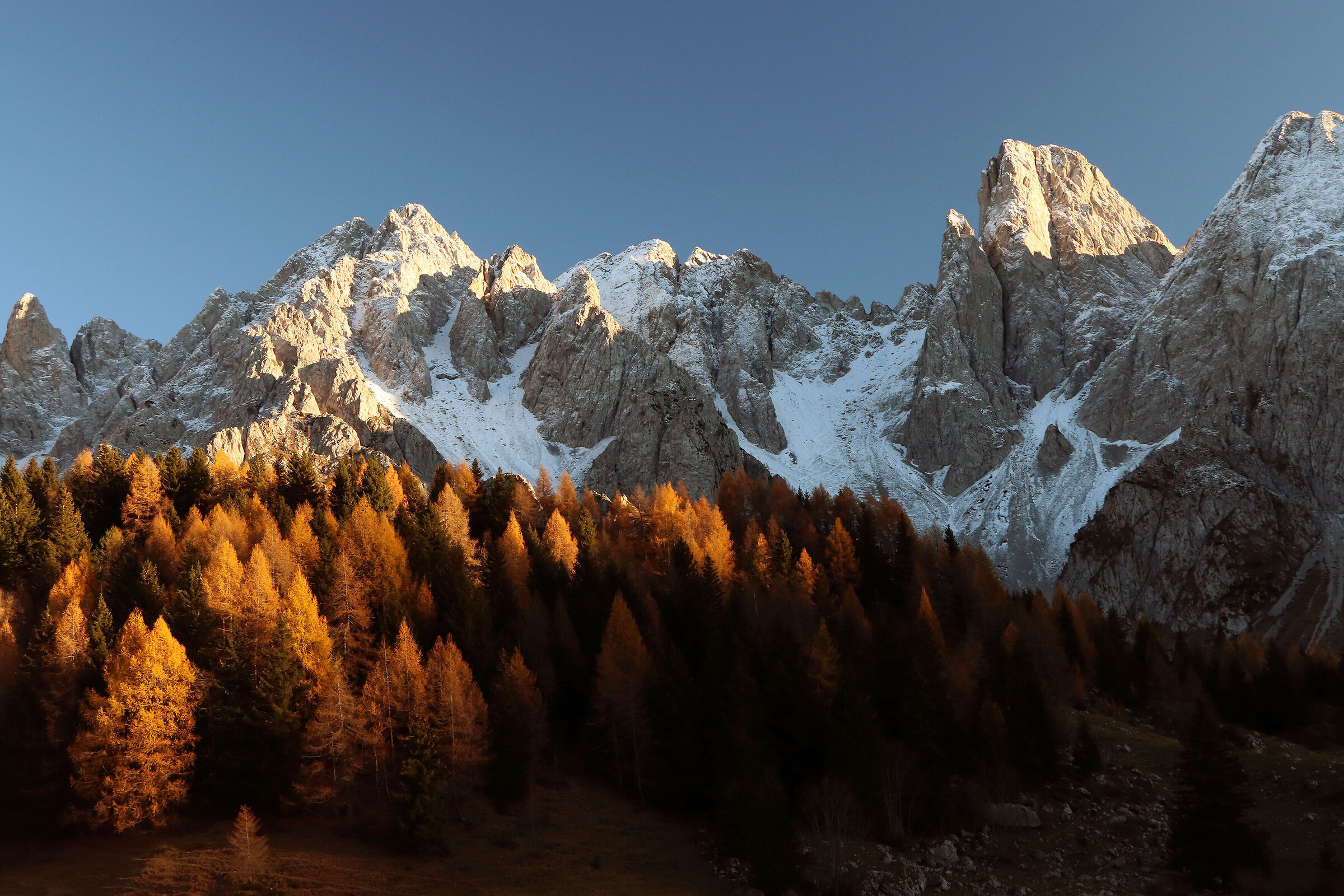 Autumn magic at Campelli