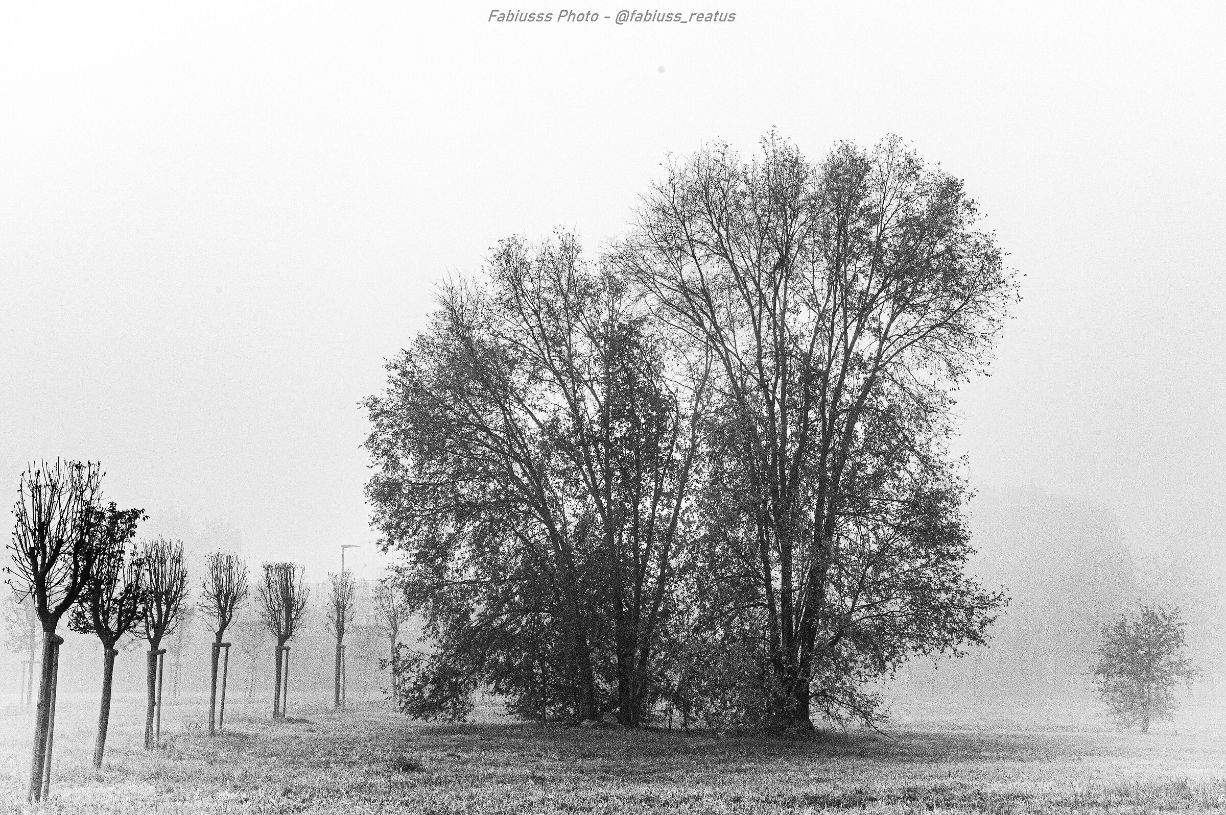 e' arrivato l'inverno