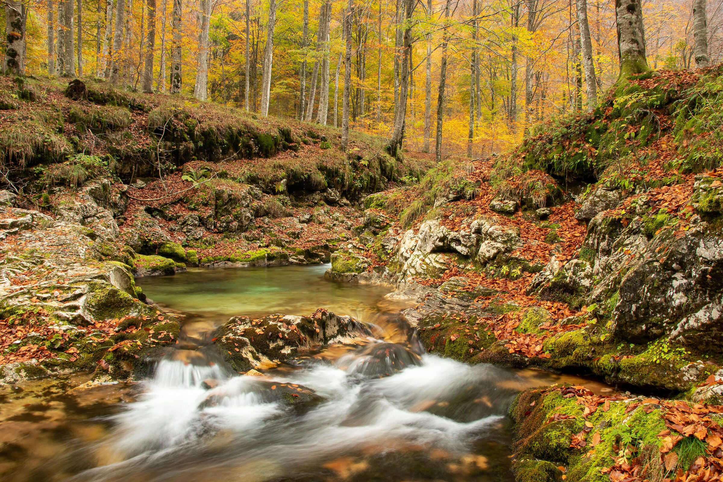 Arzino in autumn