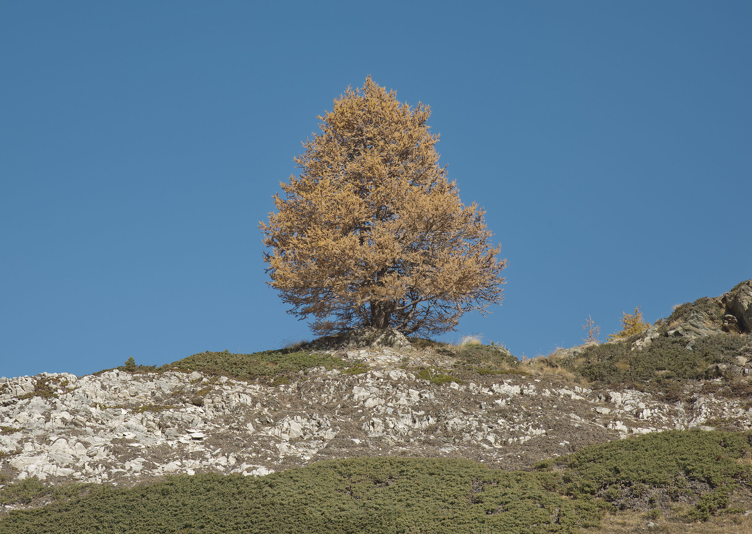 autumn in Val d'Aosta October 2021