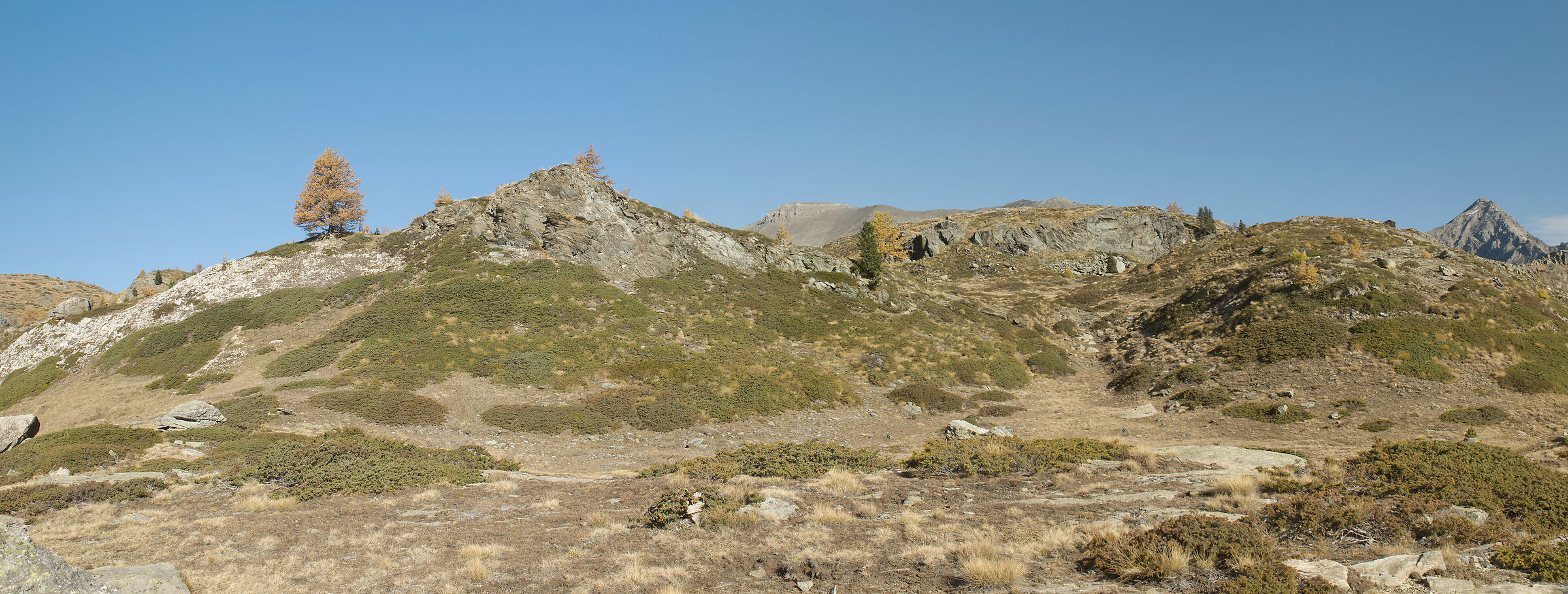 from Alpe Bardoney