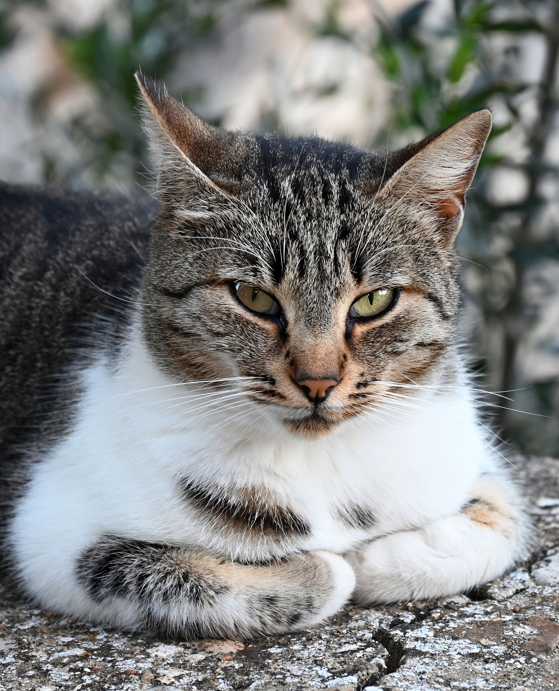 IL Riposo del Guerriero