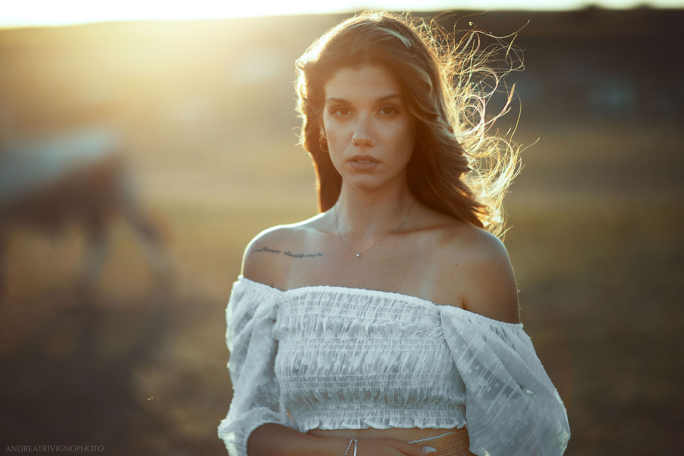 Francesca - Gold 13