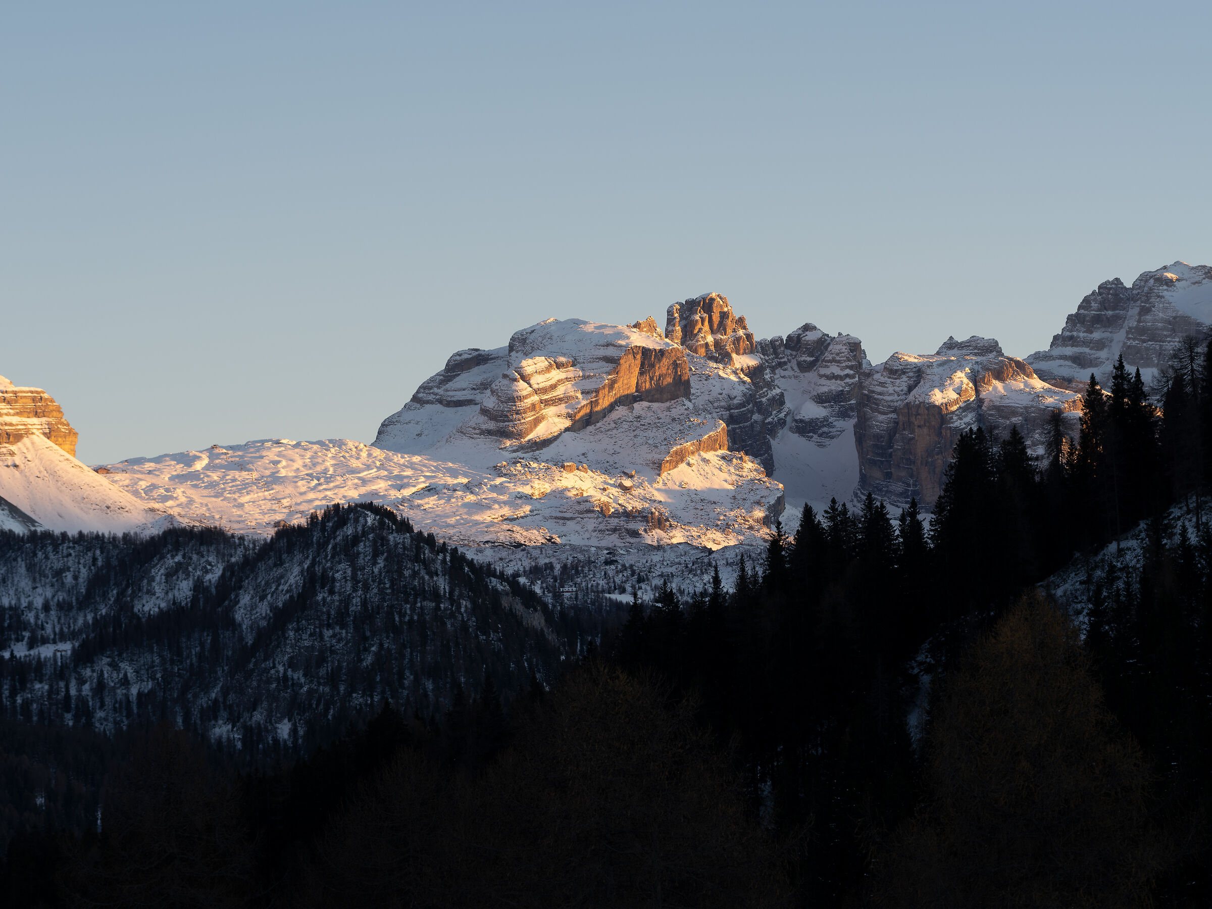 Test Olympus 60mm Macro